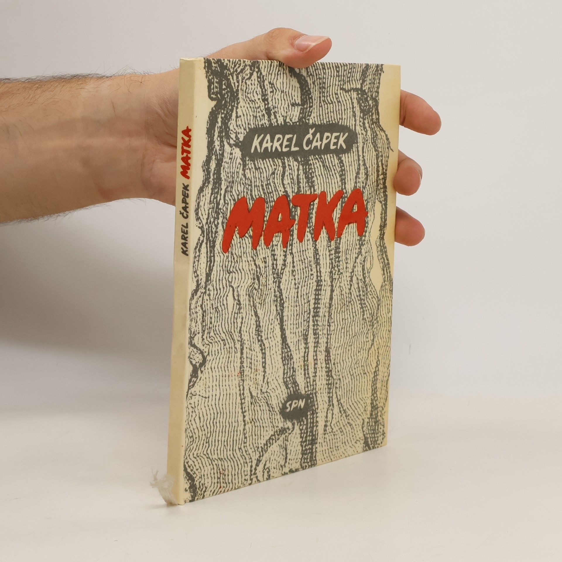 Karel Čapek Matka
