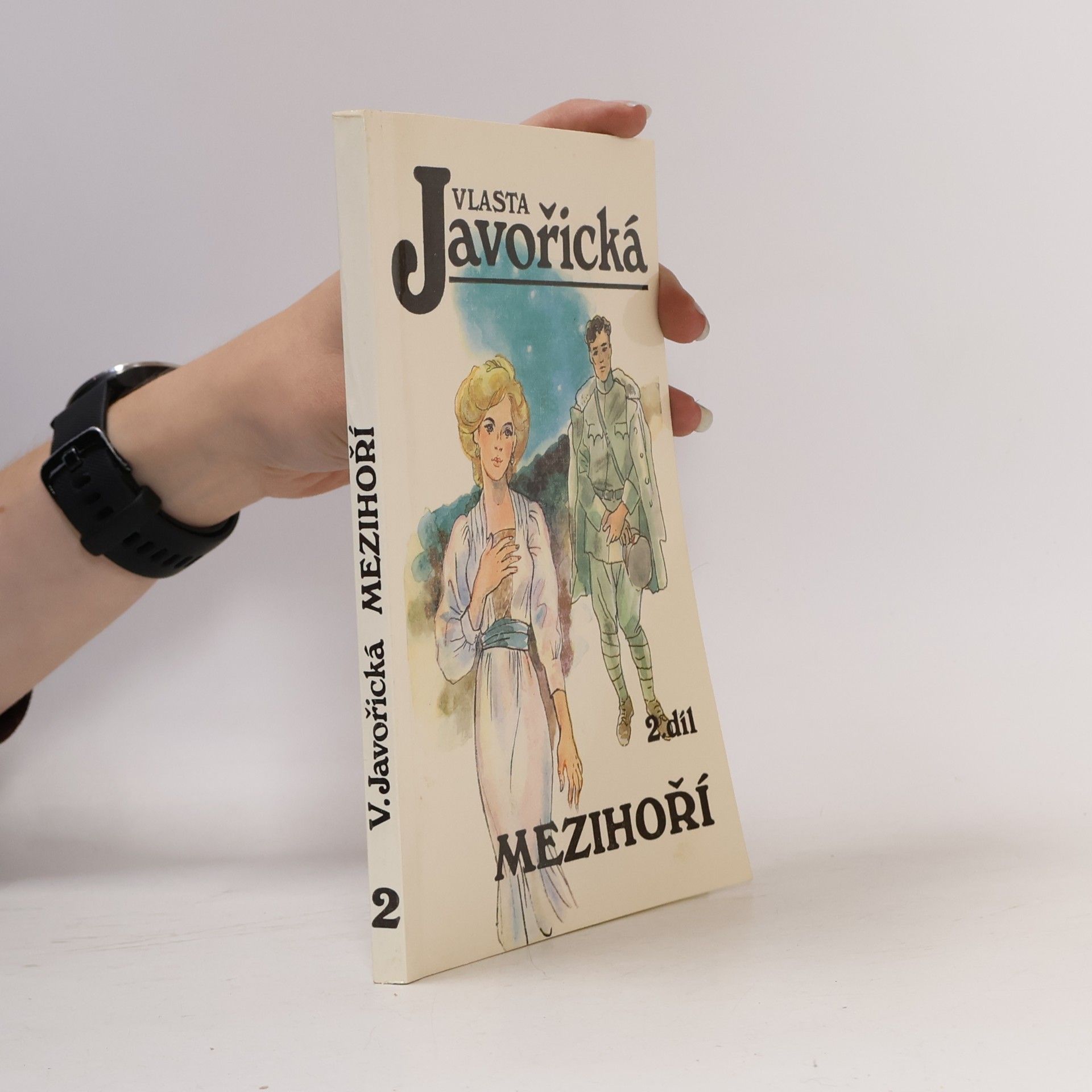 Mezihoří 2