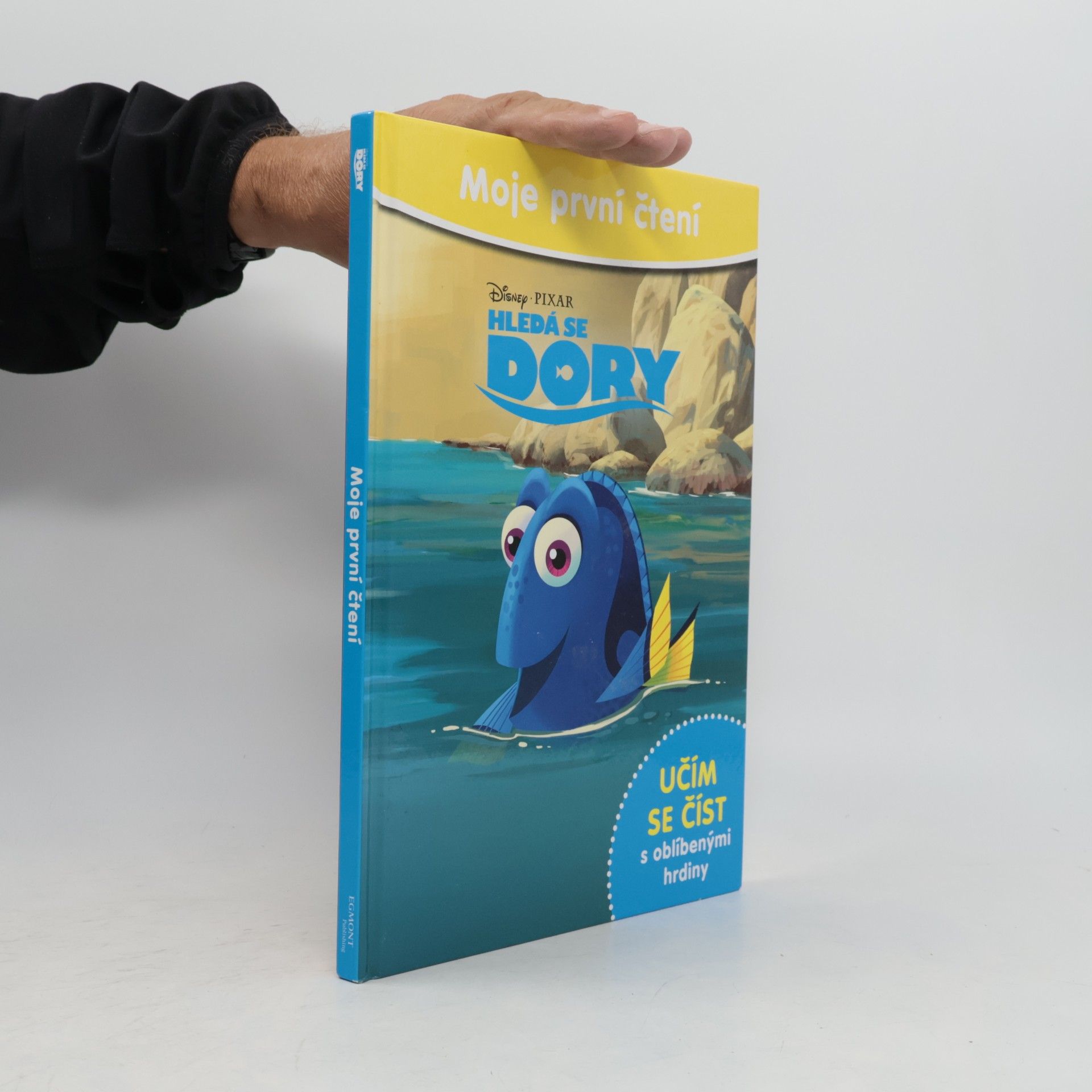 Barbara Jean Hicks Hledá se Dory - Moje první čtení