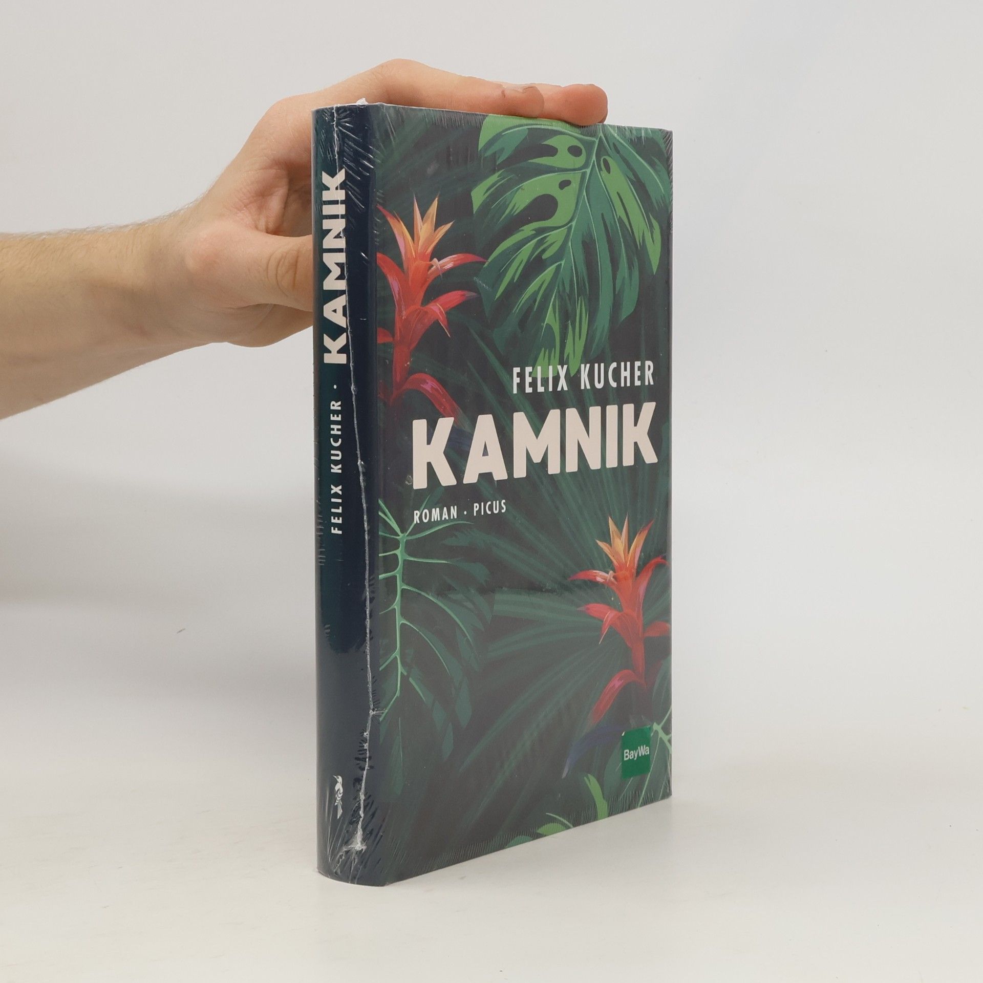 Felix Kucher Kamnik