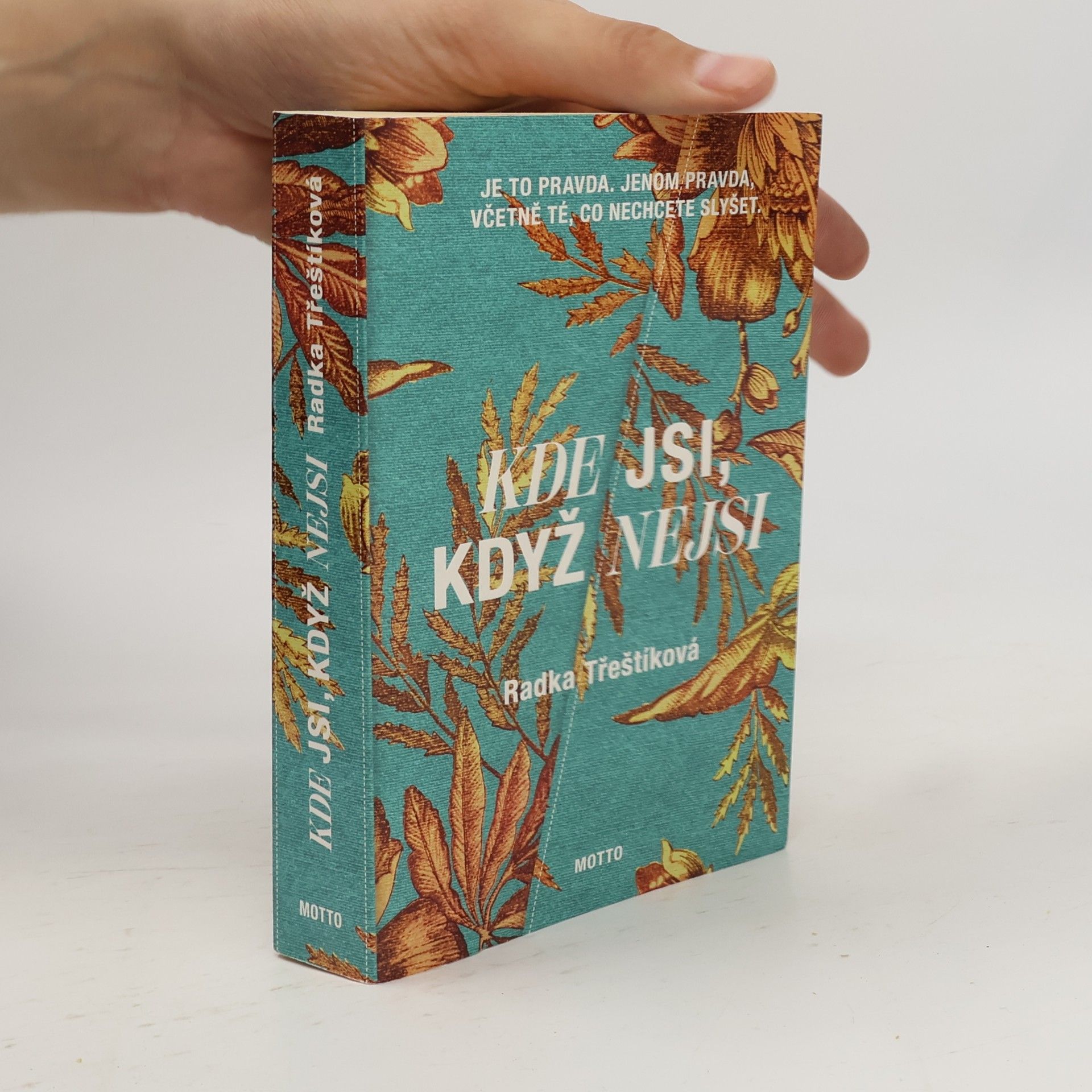 Radka Třeštíková Kde jsi, když nejsi