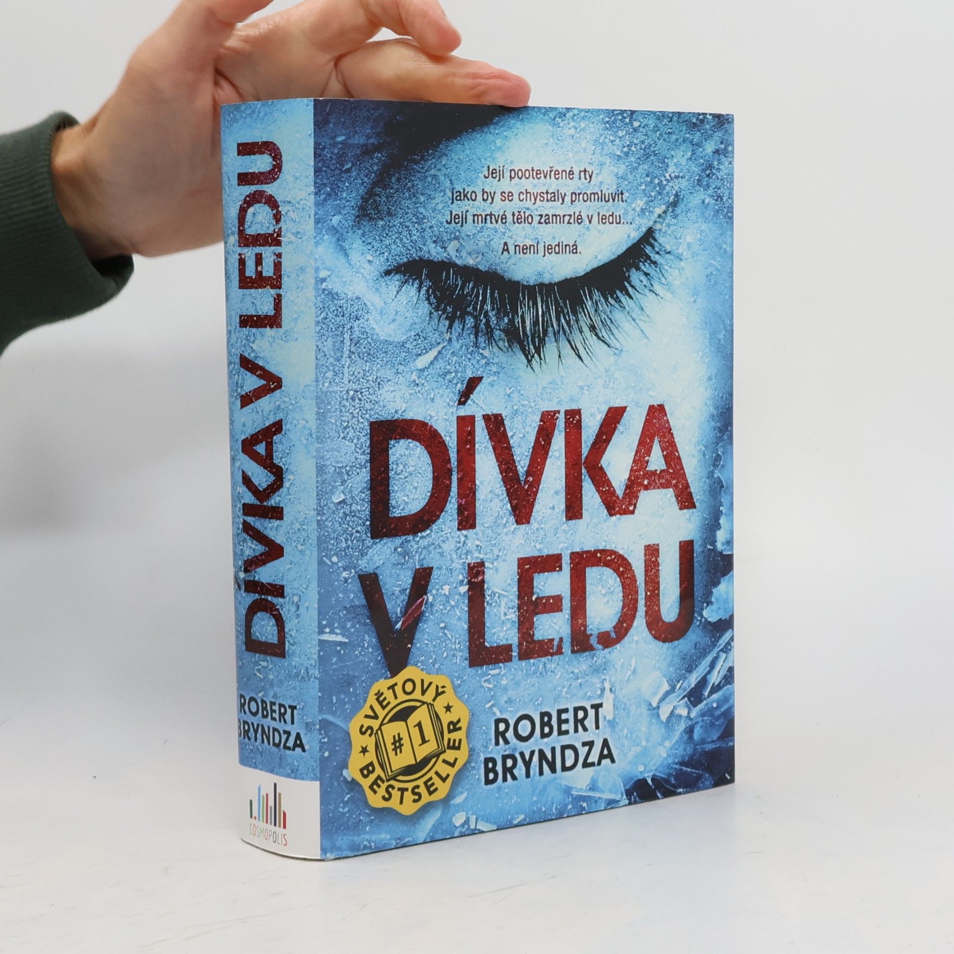 Robert Bryndza Dívka v ledu