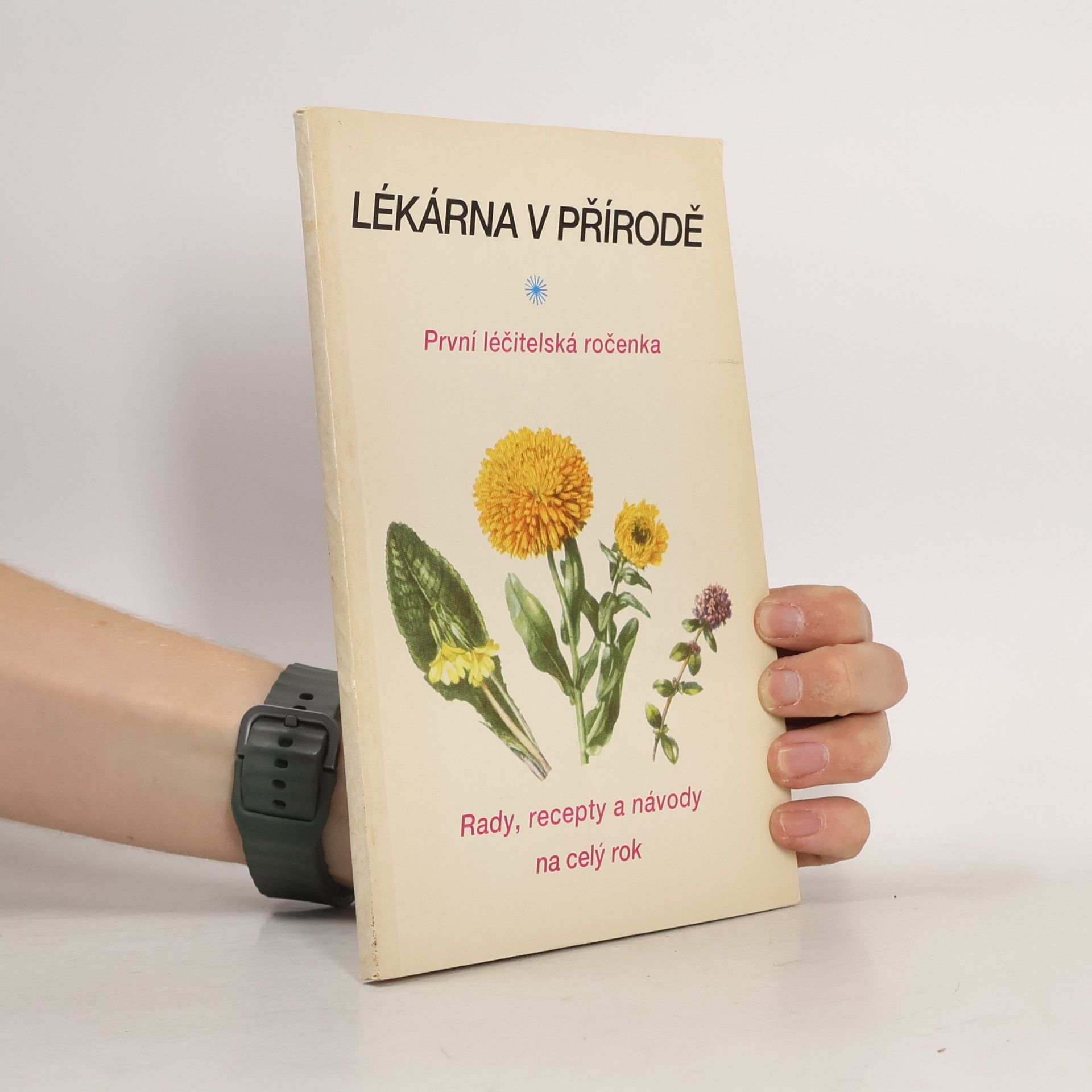 Auteurscollectief Lékárna v přírodě: První léčitelská ročenka