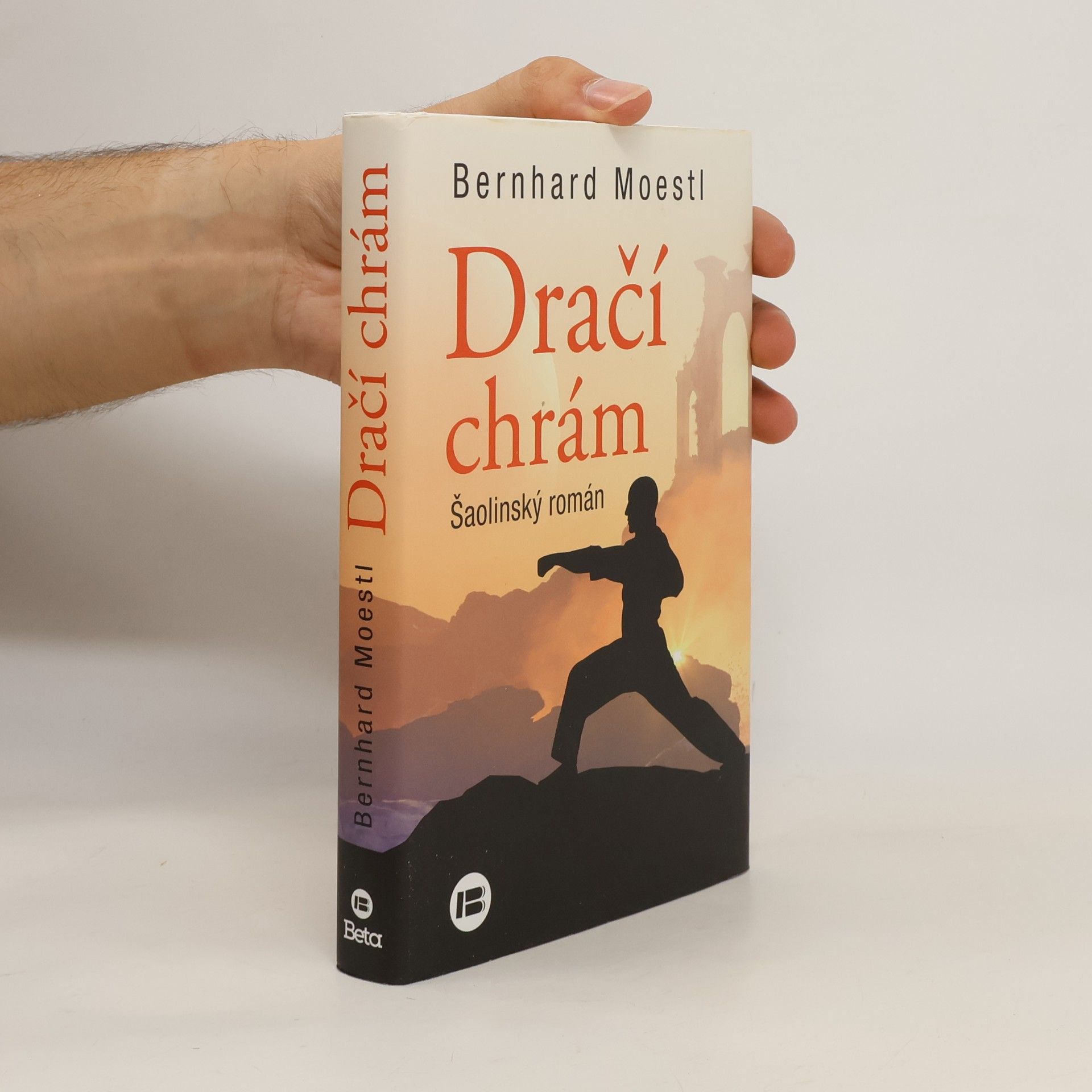 Dračí chrám : šaolinský román
