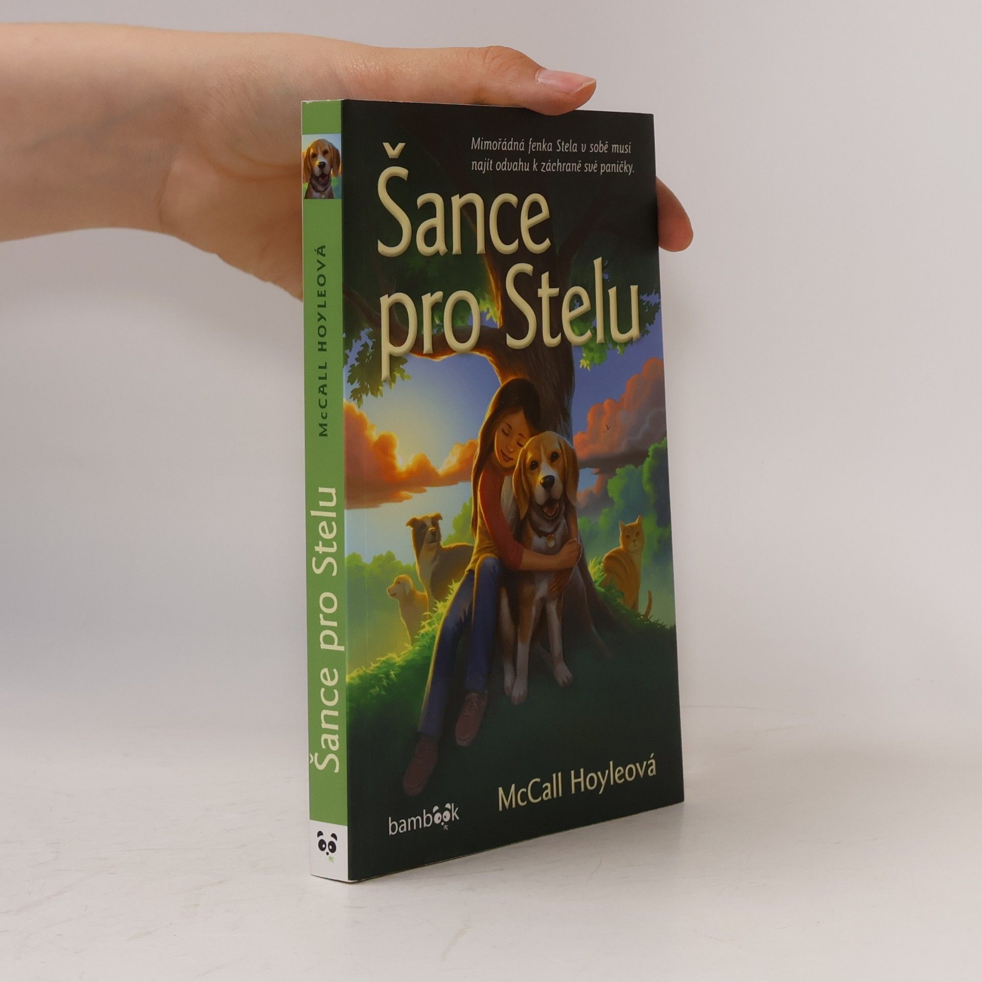 McCall Hoyle Šance pro Stelu