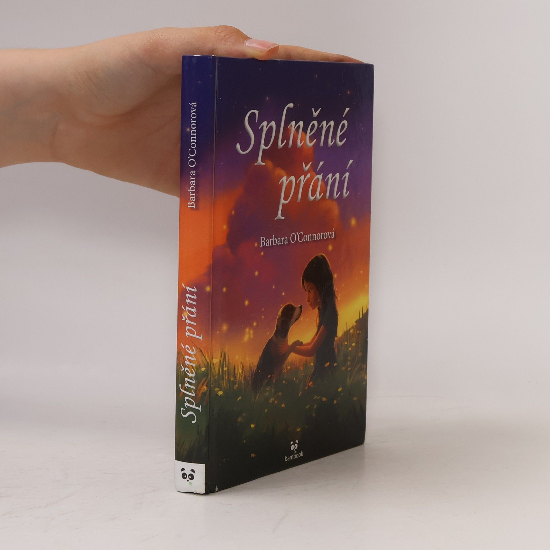 Barbara O'Connor Splněné přání