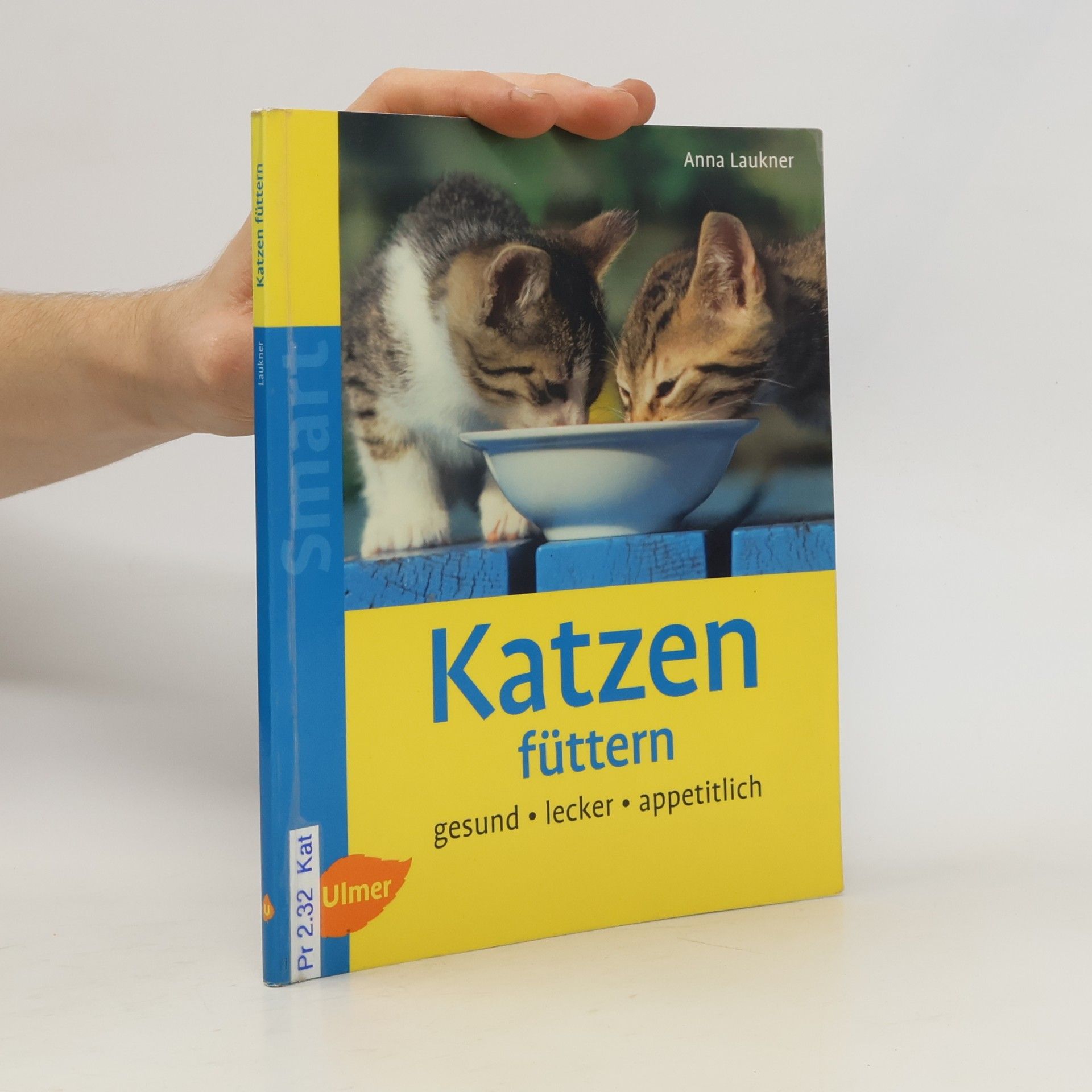 EvaMaria Götz Wohnen mit Katze