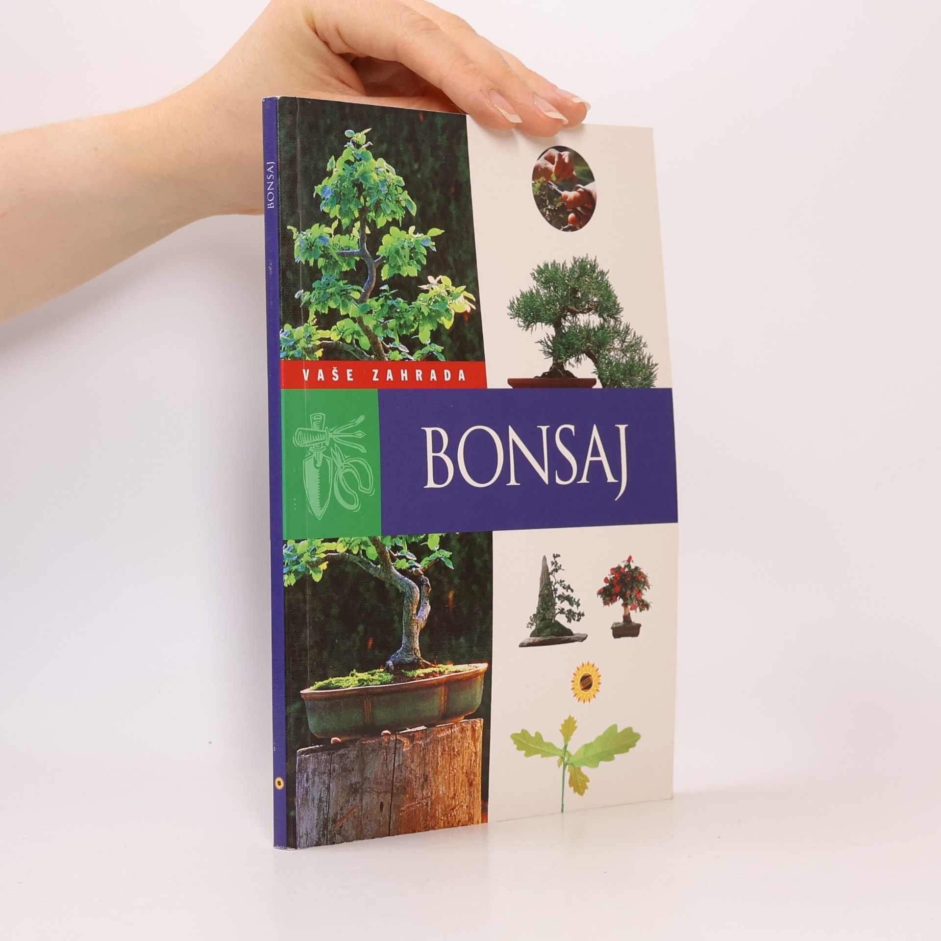 Kolektiv autorů Bonsaj