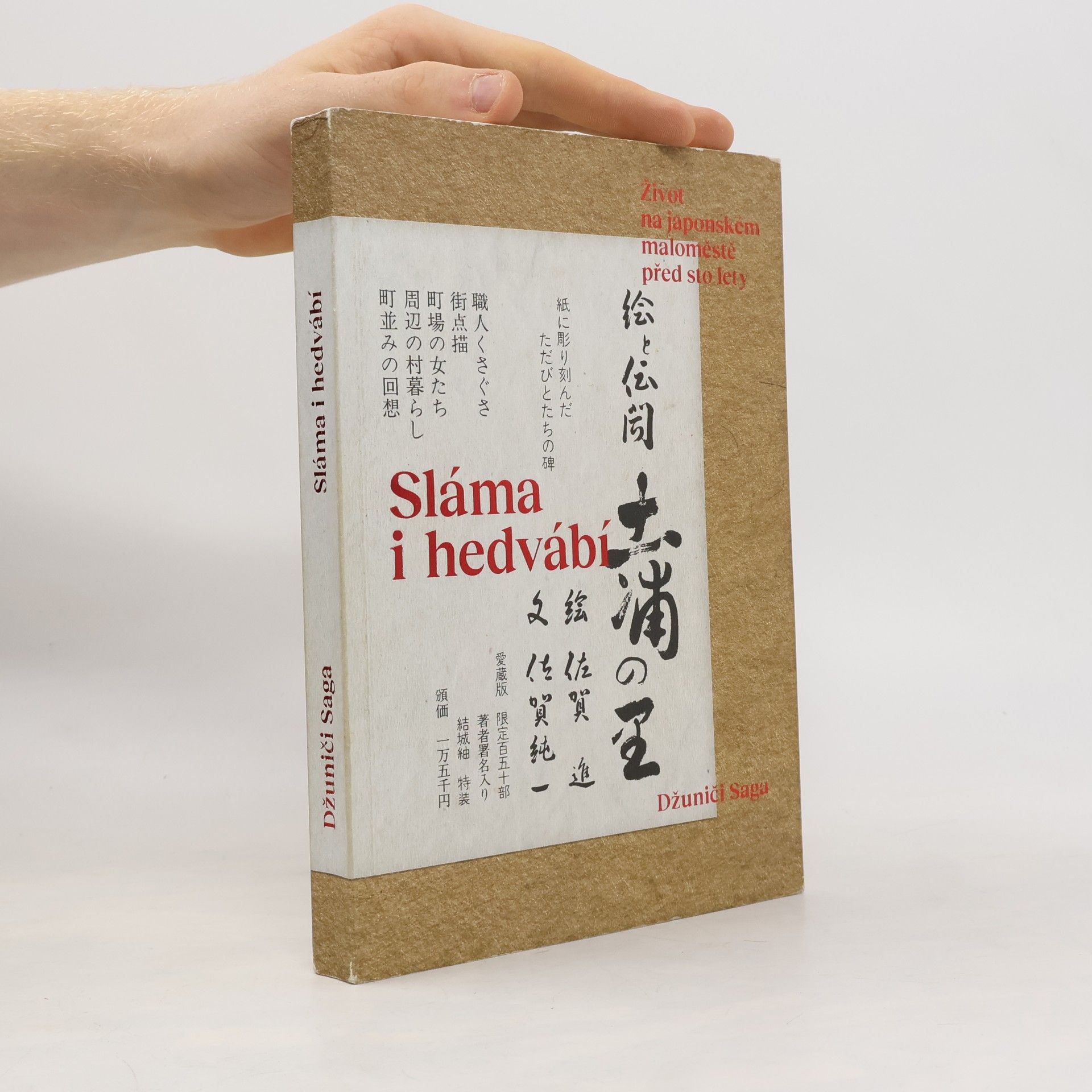 Junichi Saga Sláma i hedvábí: Život na japonském maloměstě před sto lety
