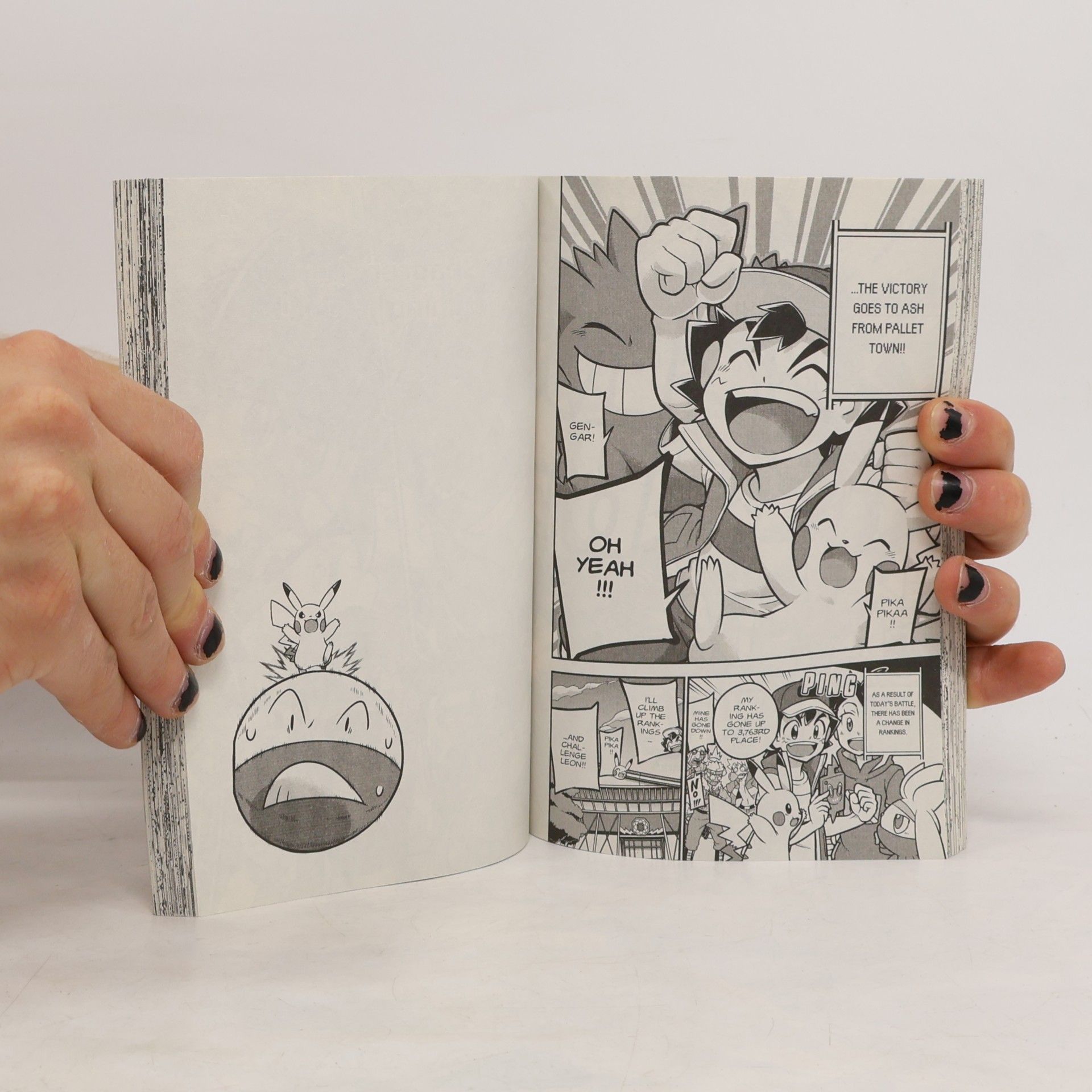 Machito Gomi Pokemon Journeys, Vol. 2