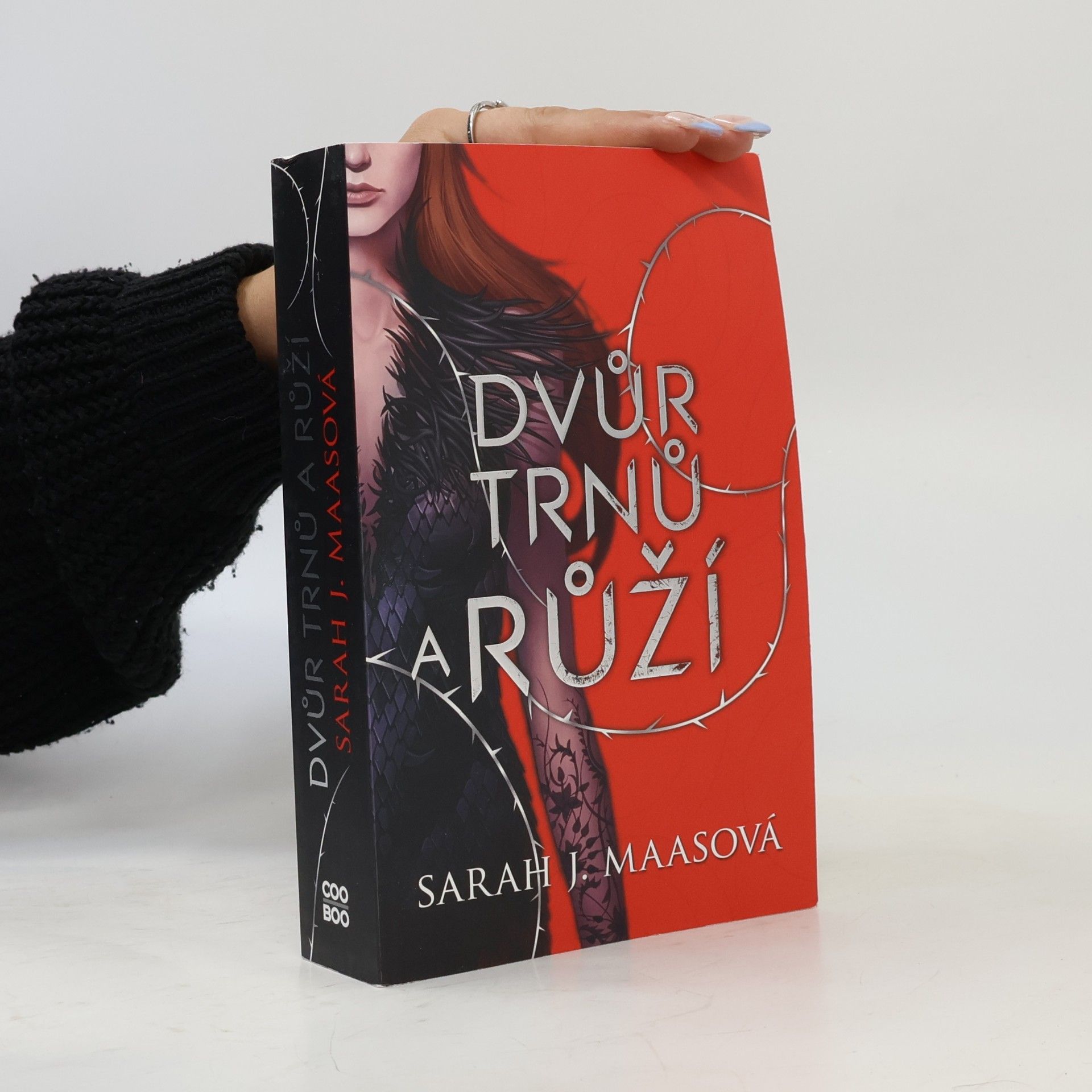 Sarah J. Maas Dvůr trnů a růží