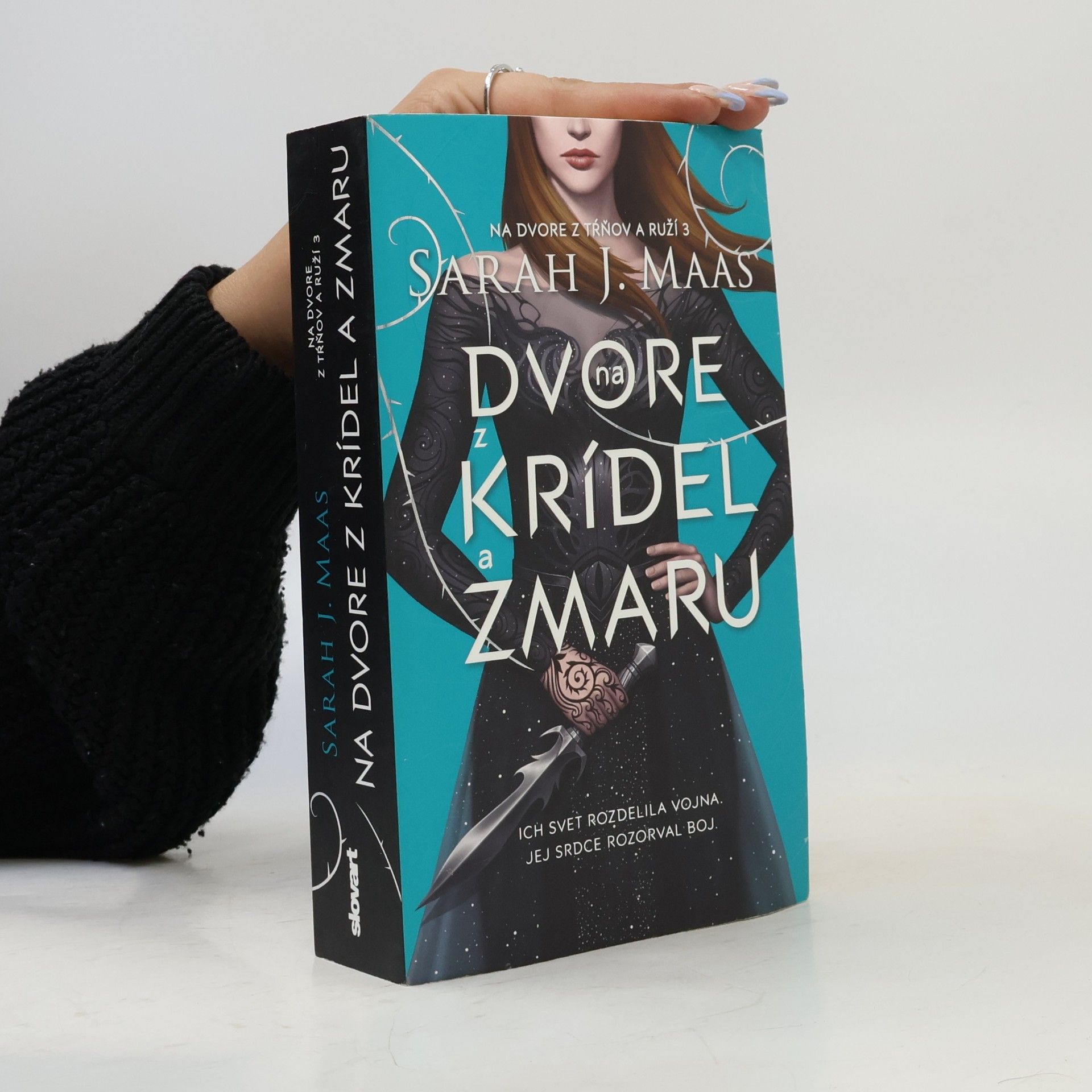 Sarah J. Maas Na dvore z krídel a zmaru