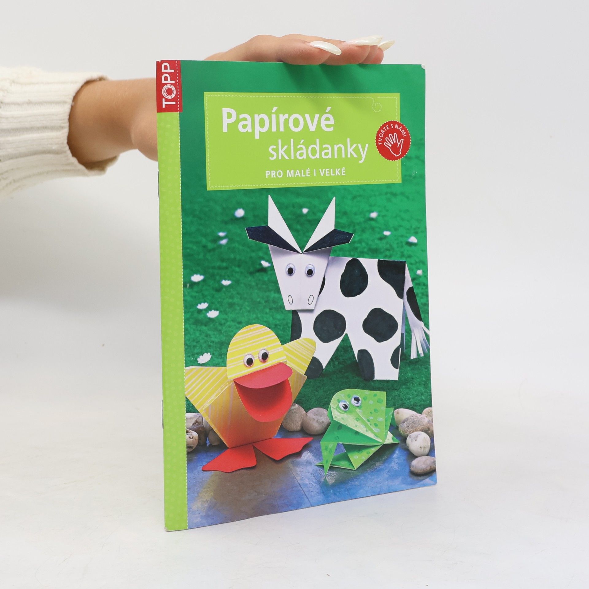 Daniel Täubner Papírové skládanky pro malé i velké