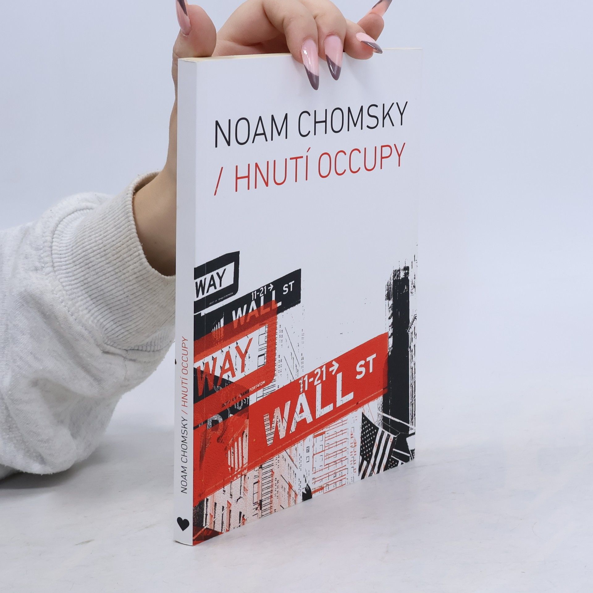 Noam Chomsky Hnutí Occupy
