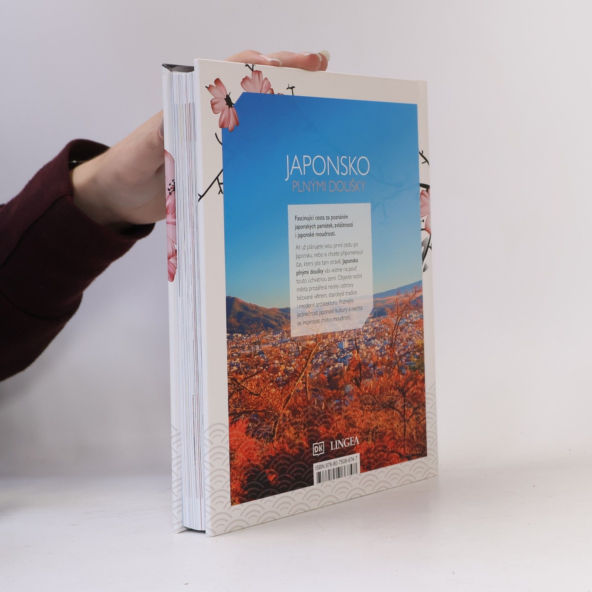 Kolektiv autorů Japonsko plnými doušky