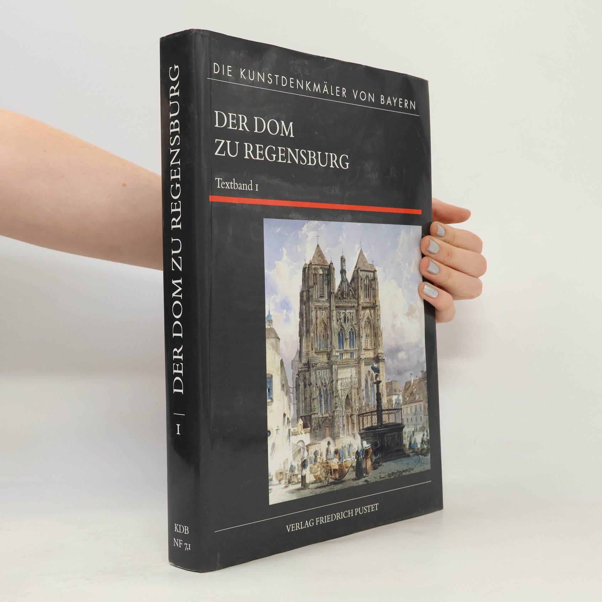AA.VV. Die Kunstdenkmäler von Bayern - 1: Der Dom zu Regensburg