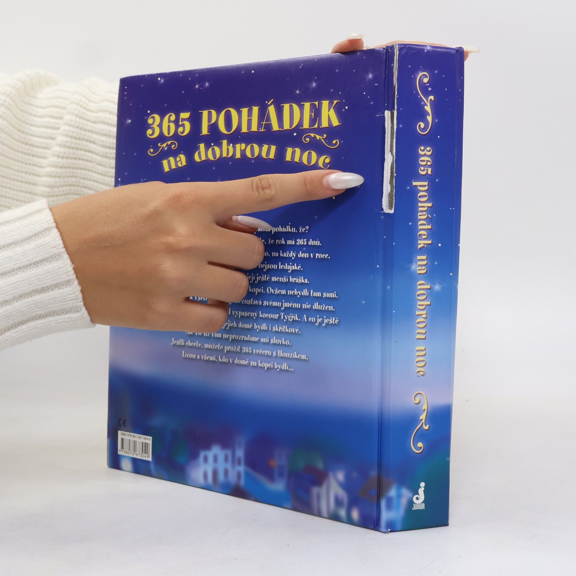 Autorenkollektiv 365 pohádek na dobrou noc
