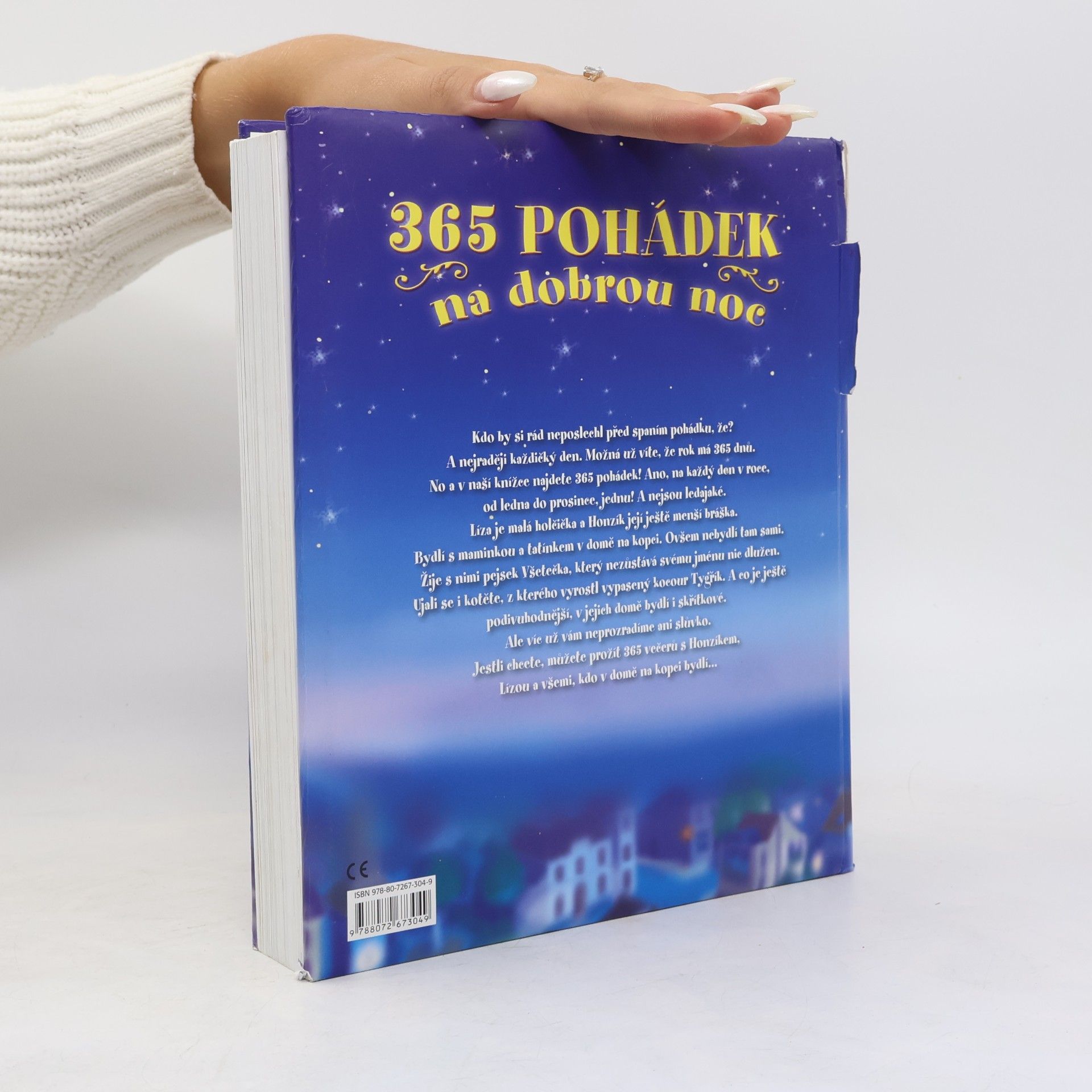 Autorenkollektiv 365 pohádek na dobrou noc