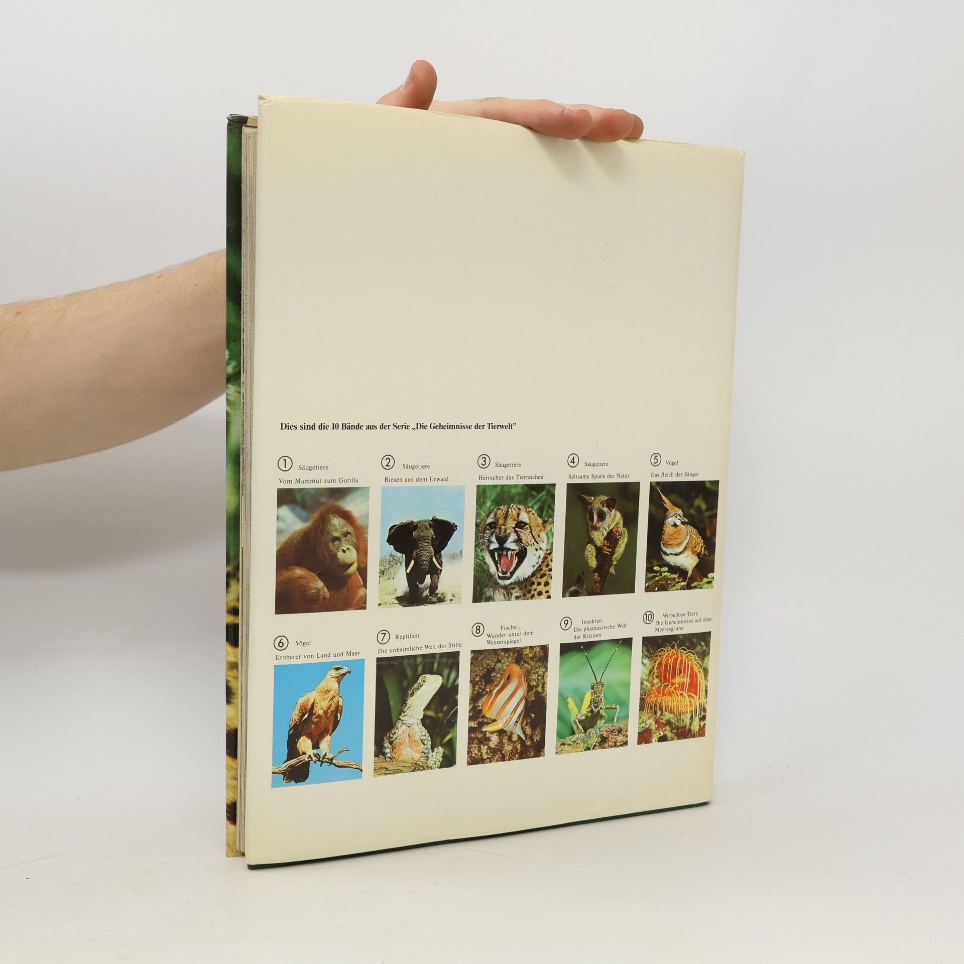 kolektiv Säugetiere 3. Herrscher des Tierreiches