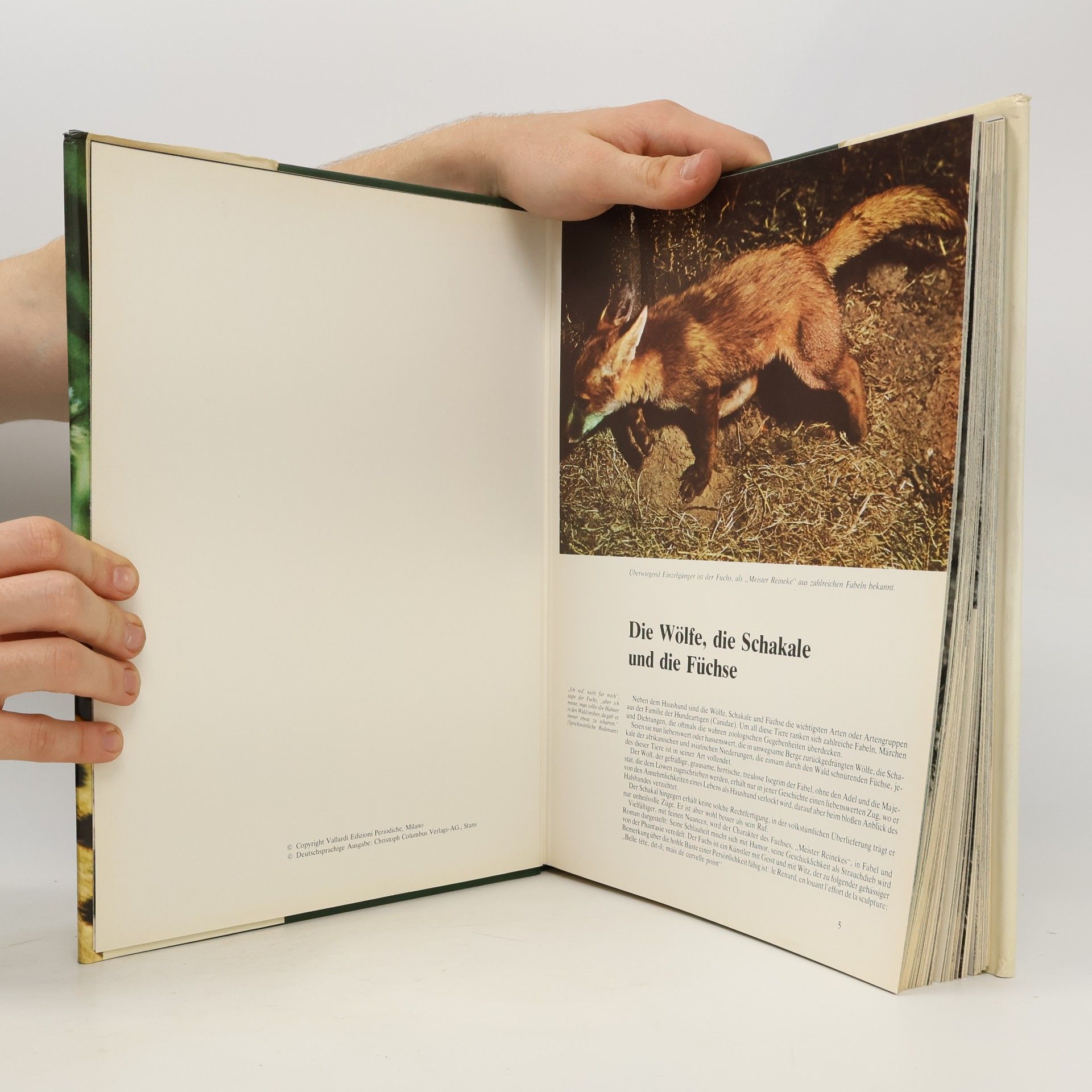 kolektiv Säugetiere 3. Herrscher des Tierreiches
