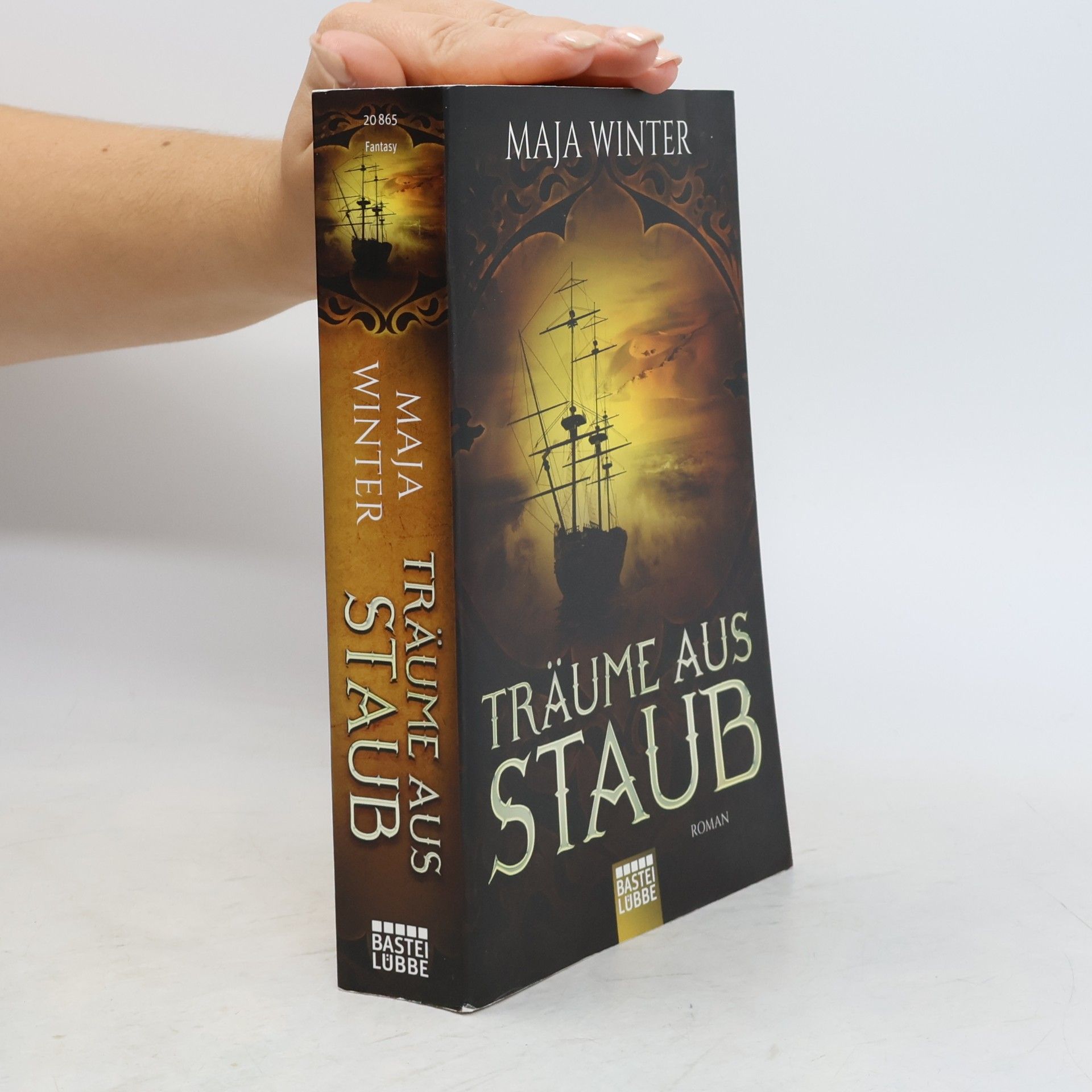 Maja Winter Träume aus Staub