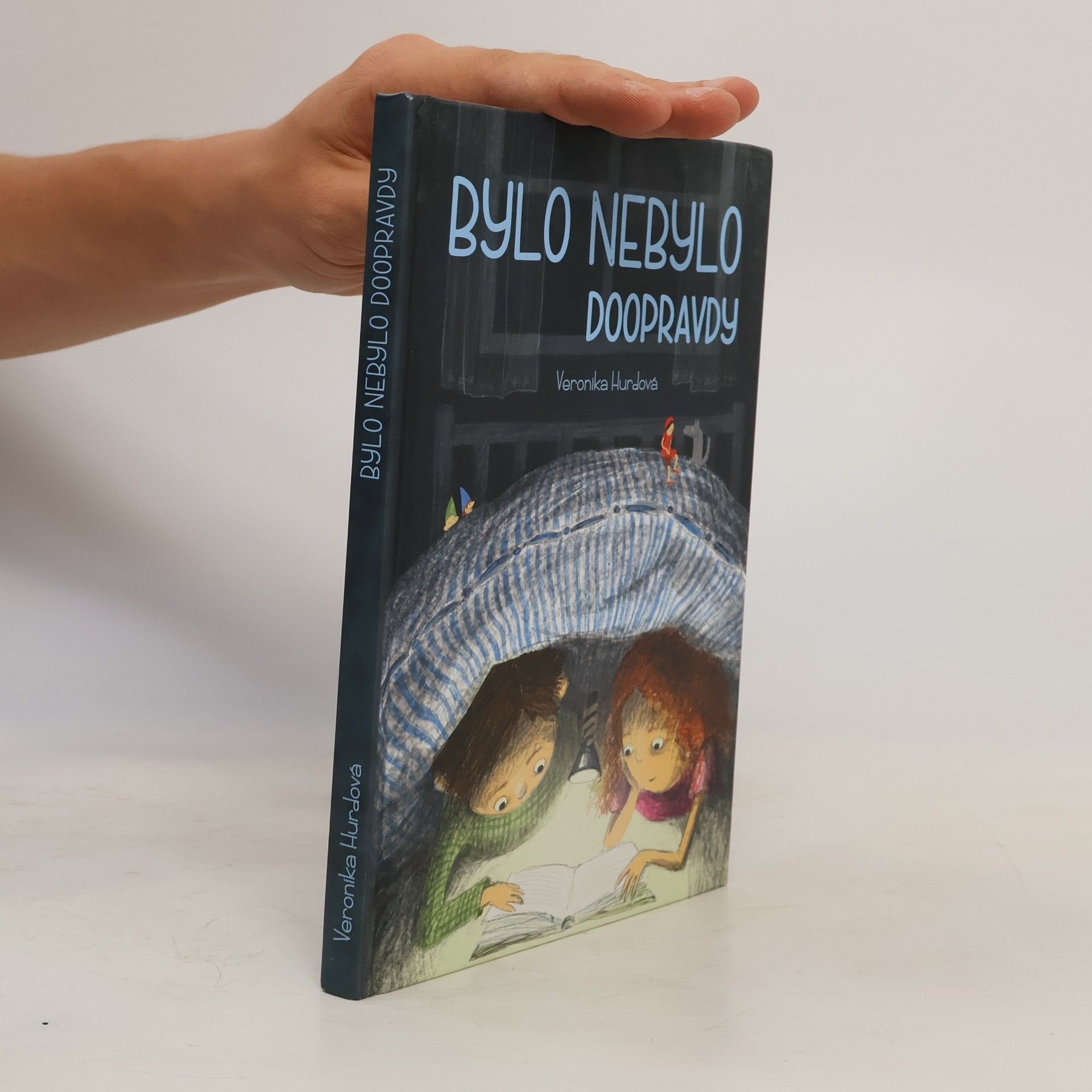 Bylo nebylo doopravdy