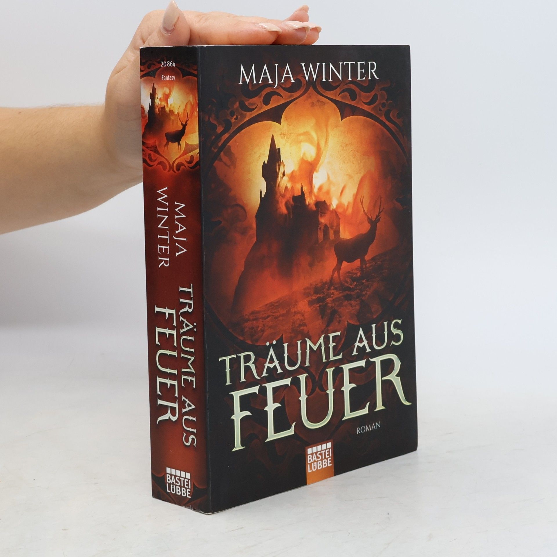 Maja Winter Träume aus Feuer