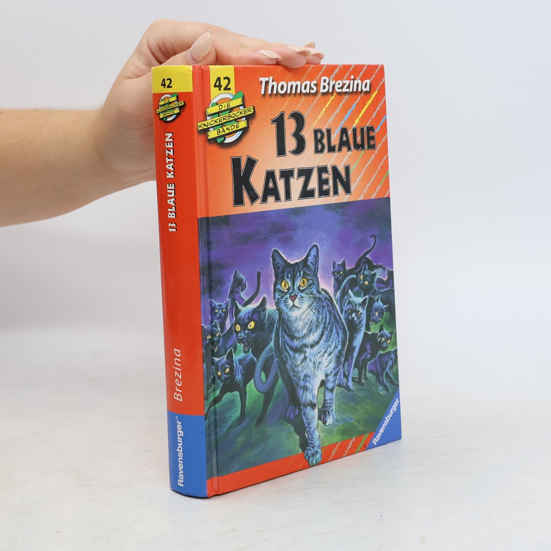 Thomas Brezina Die Knickerbocker-Bande - 42: 13 blaue Katzen, Neuausgabe