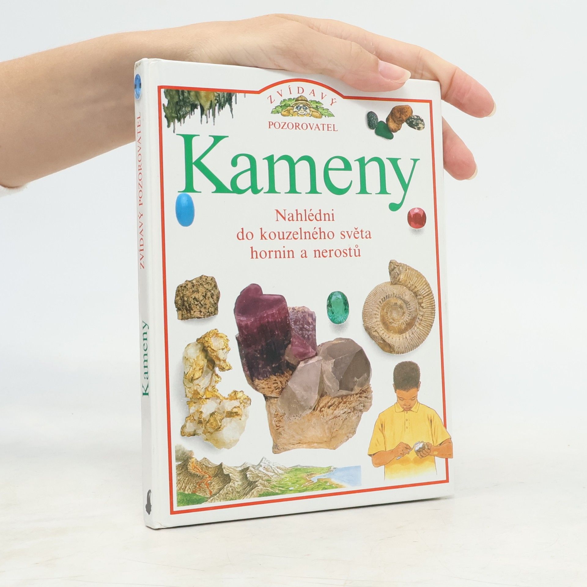 Steve Parker Kameny
