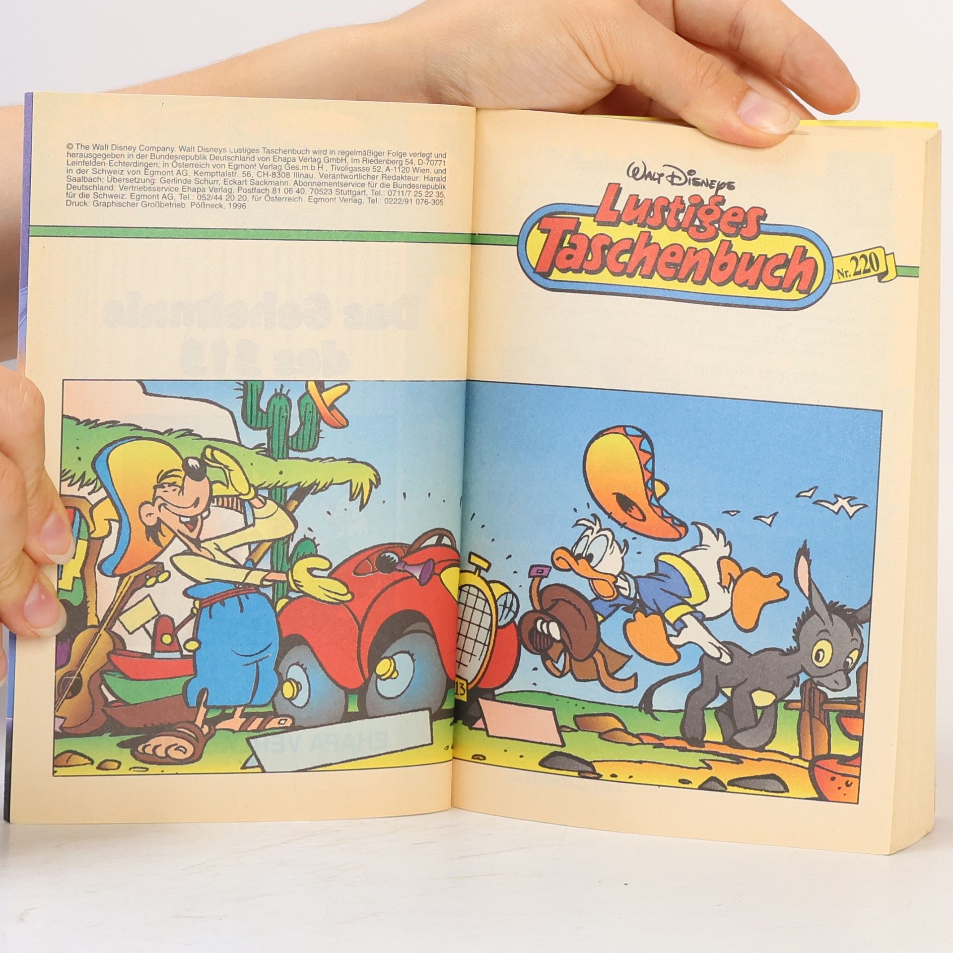 Walt Disney Lustiges Taschenbuch 220. Das Geheimnis des 313