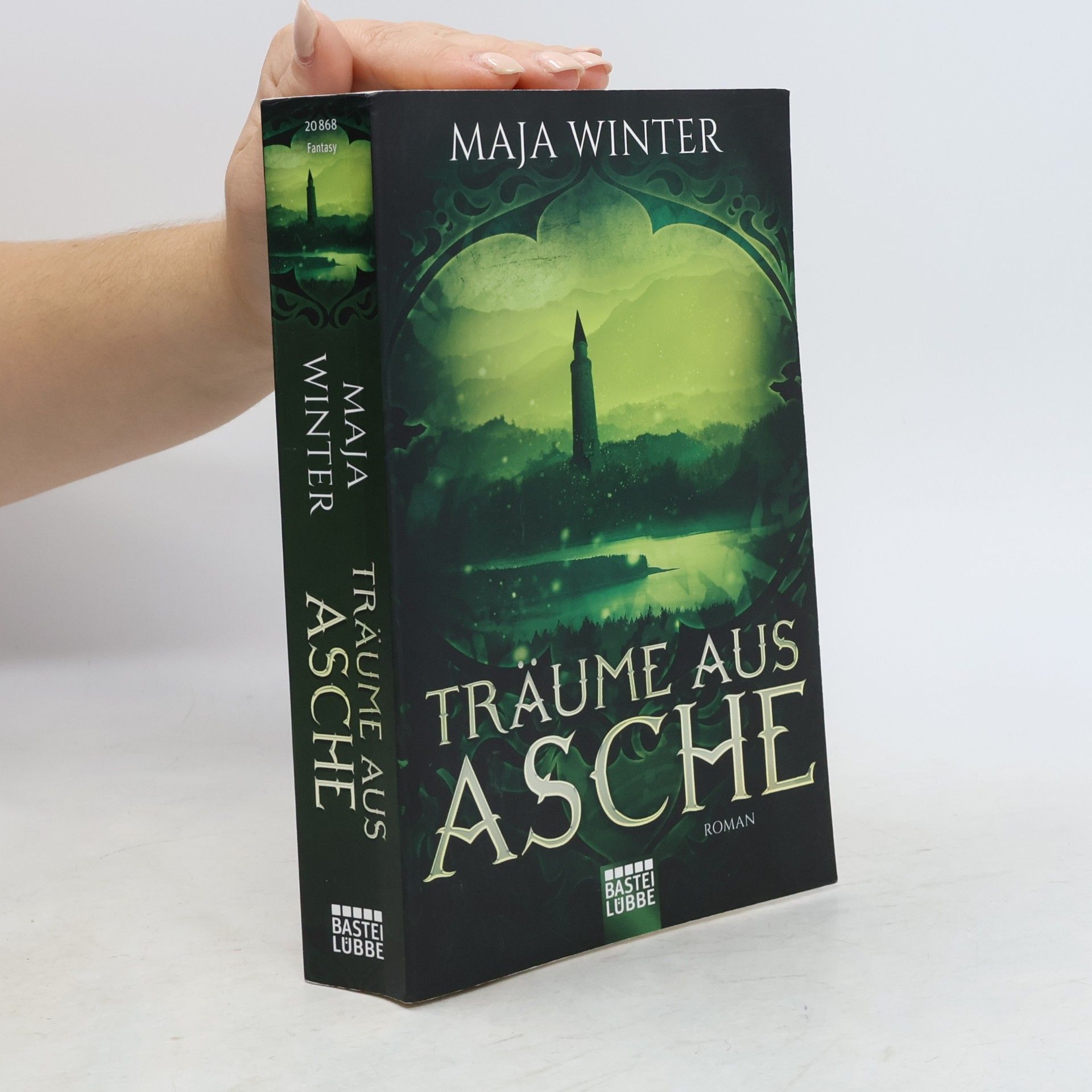 Maja Winter Träume aus Asche