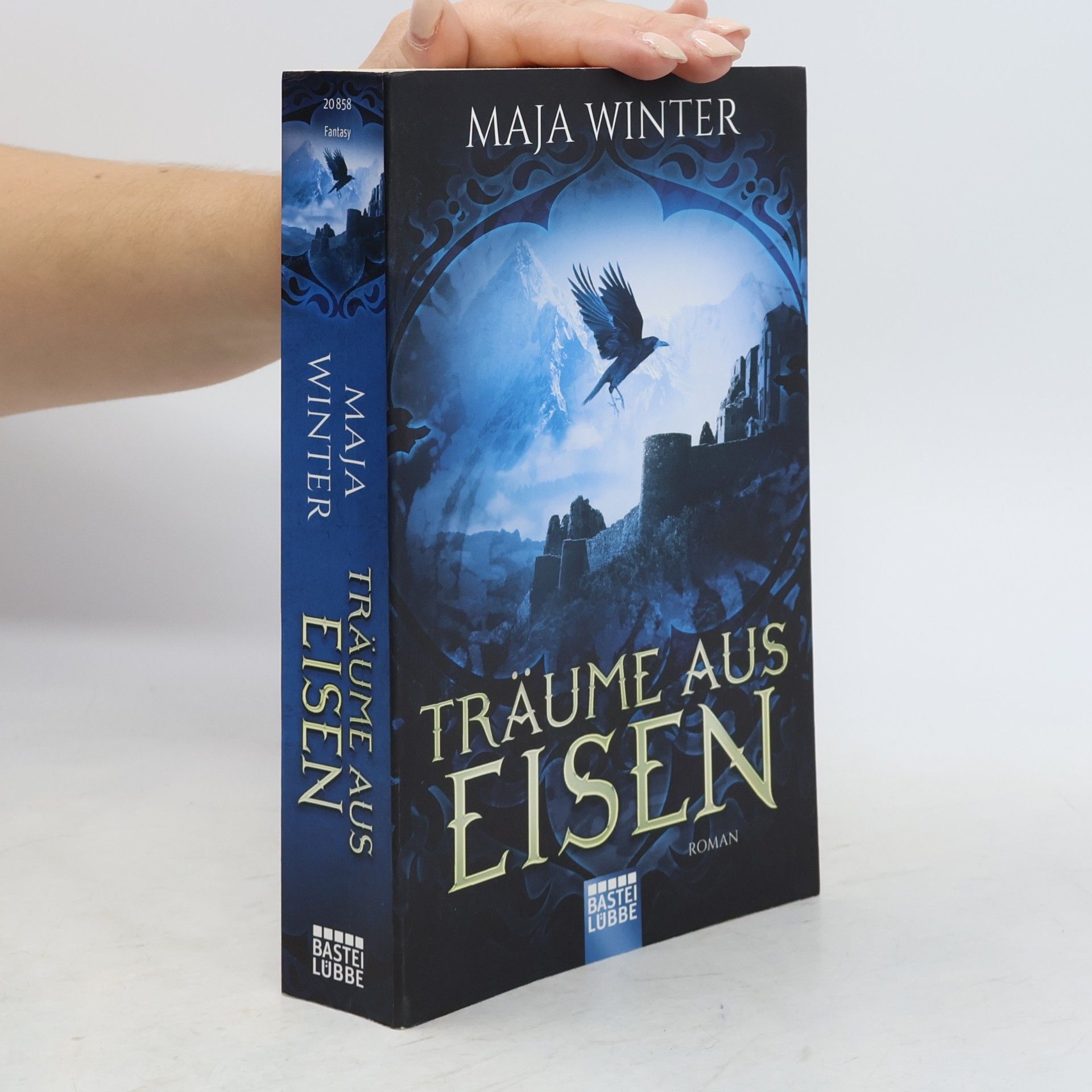 Maja Winter Träume aus Eisen