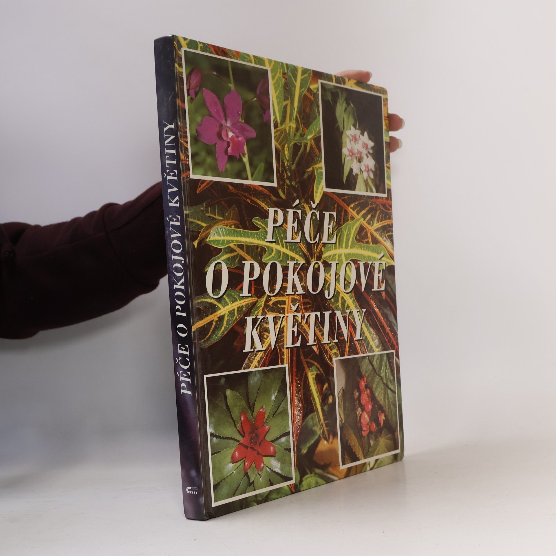 Péče o pokojové květiny