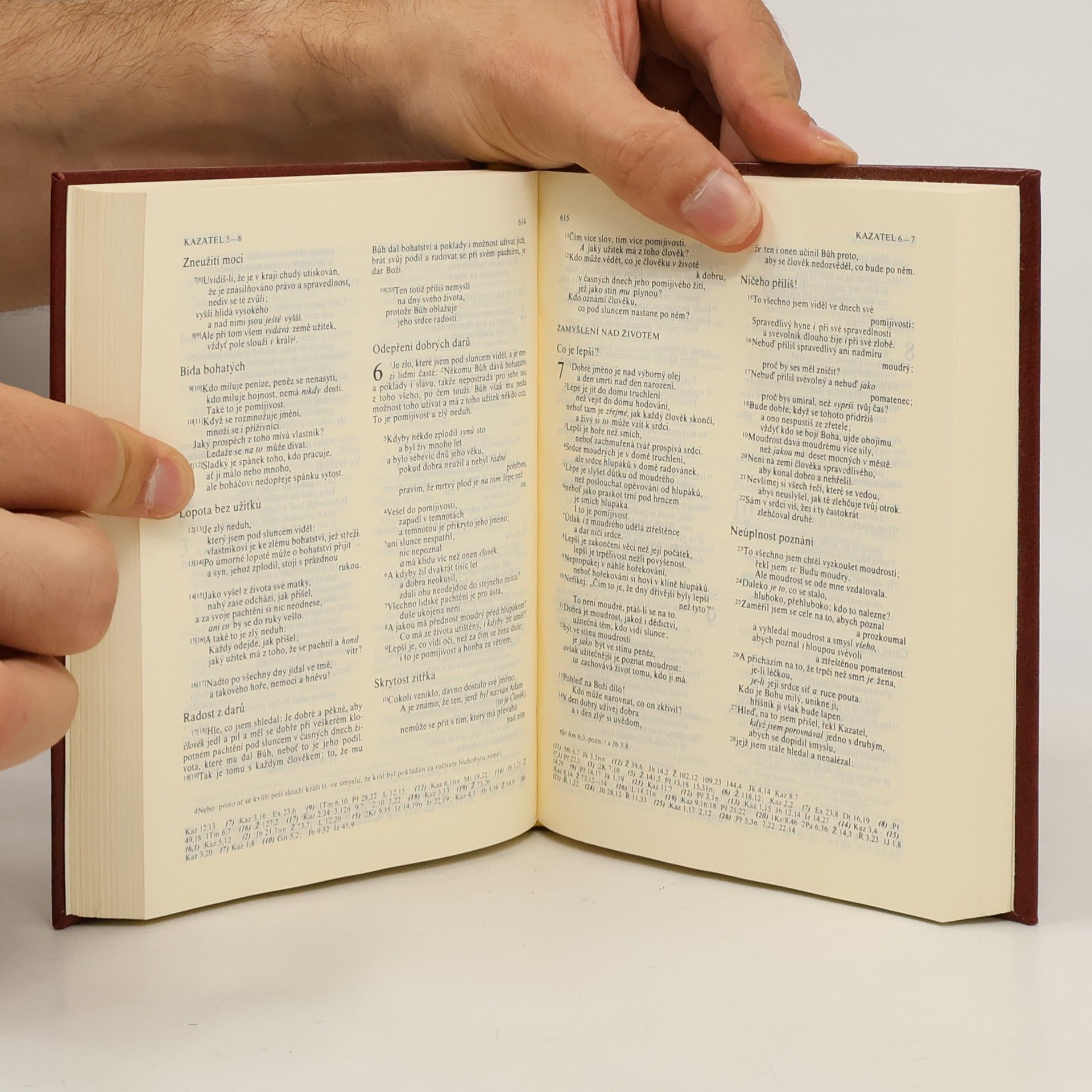 kolektiv Bible. Písmo svaté Starého i Nového zákona