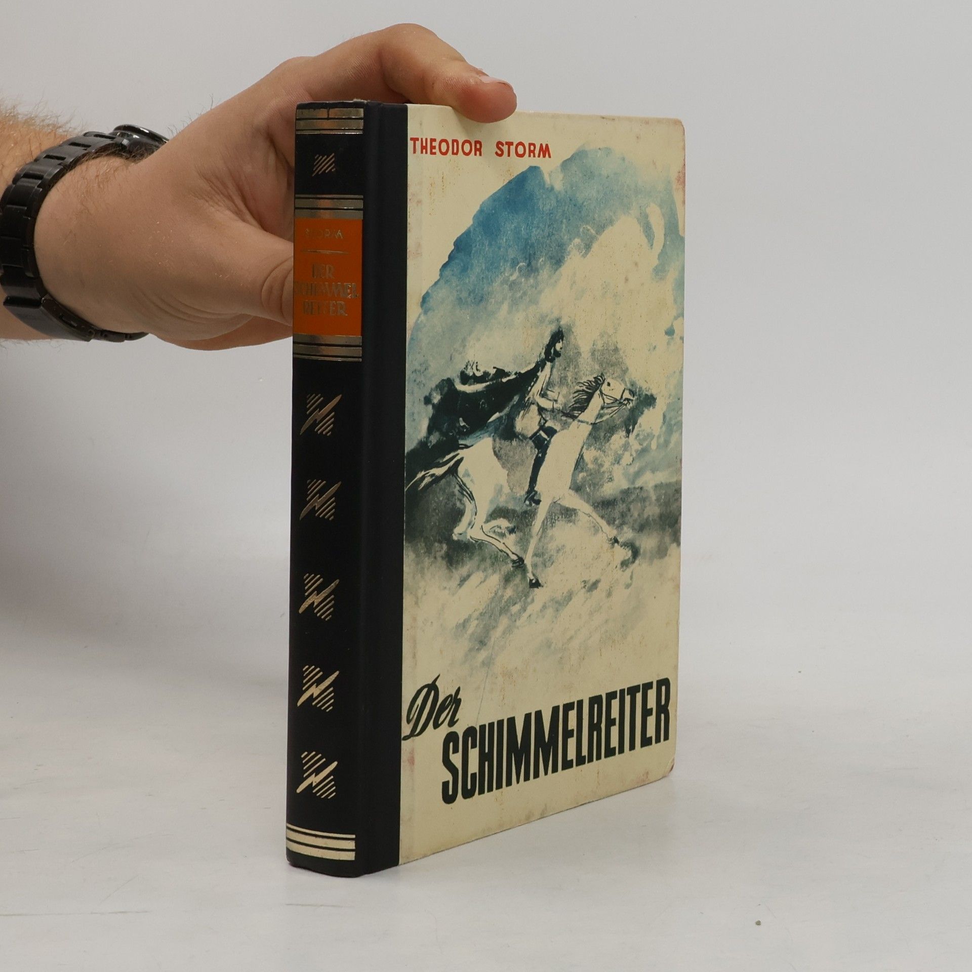 Der Schimmelreiter