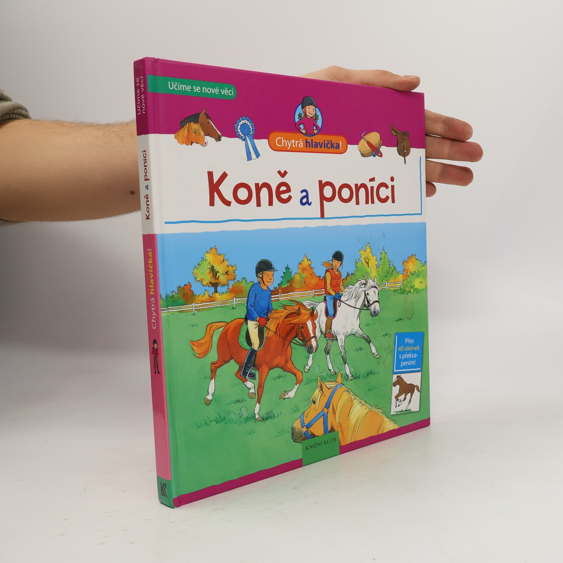Astrid Vohwinkel Koně a poníci