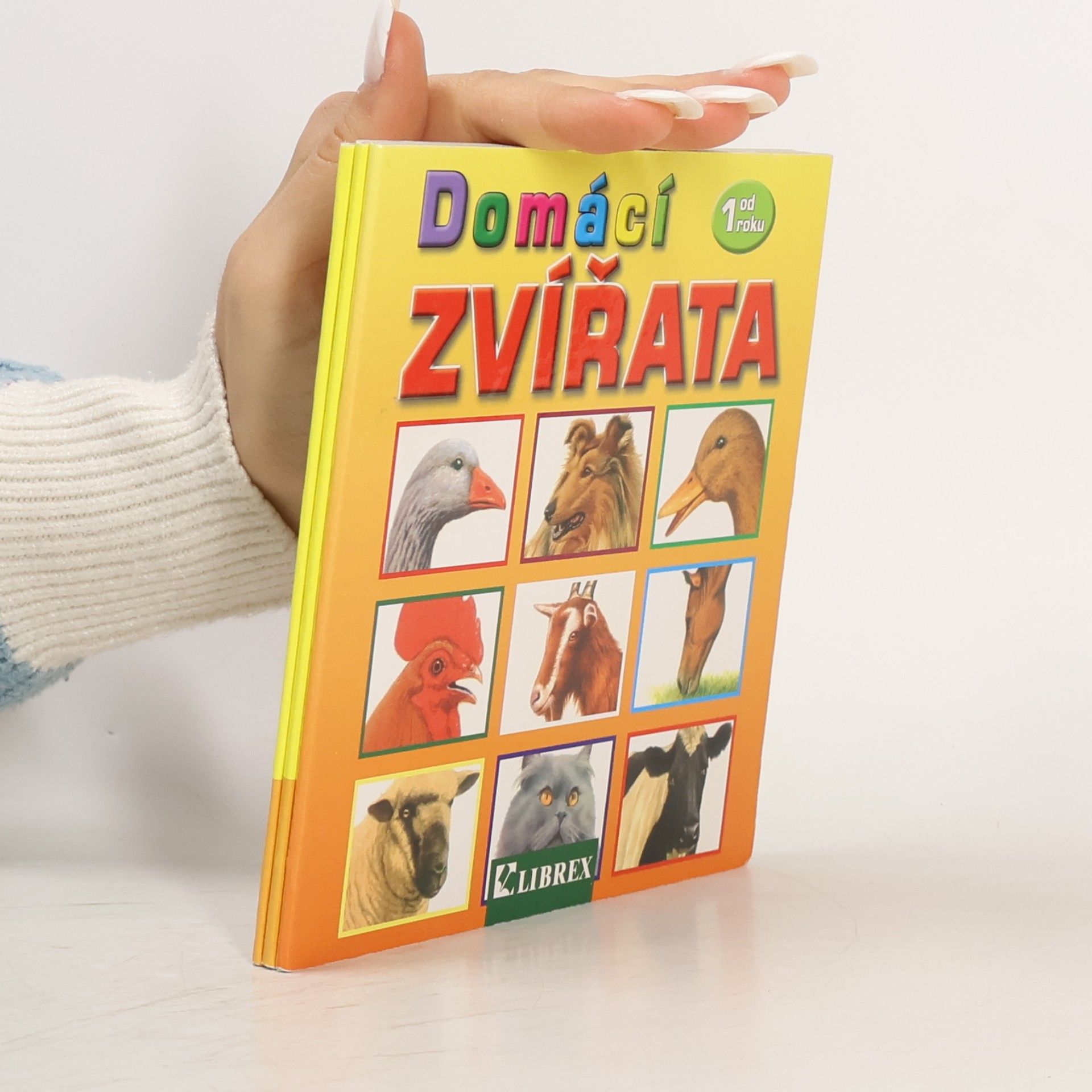 Collectif d'auteurs Domácí zvířata