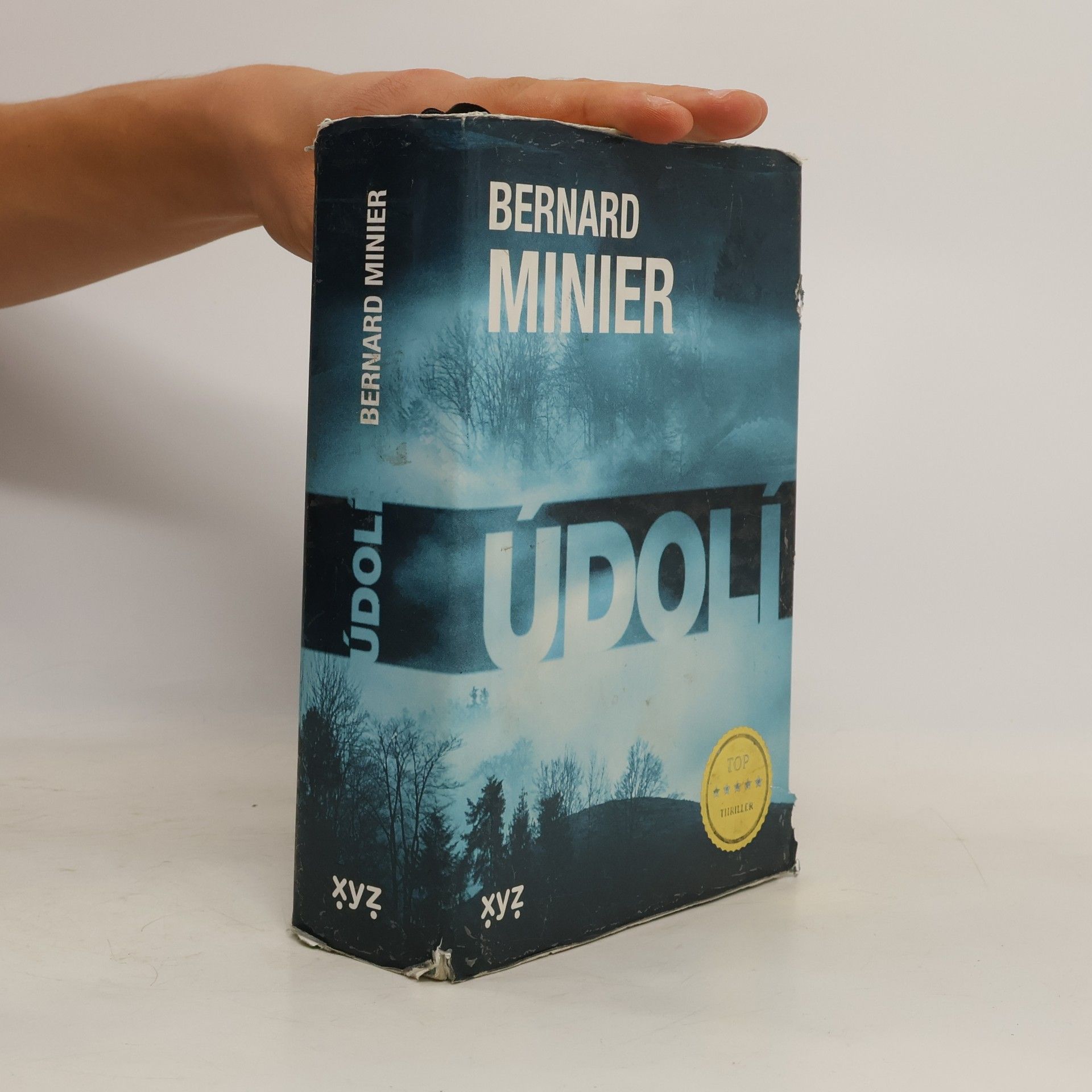 Bernard Minier Údolí