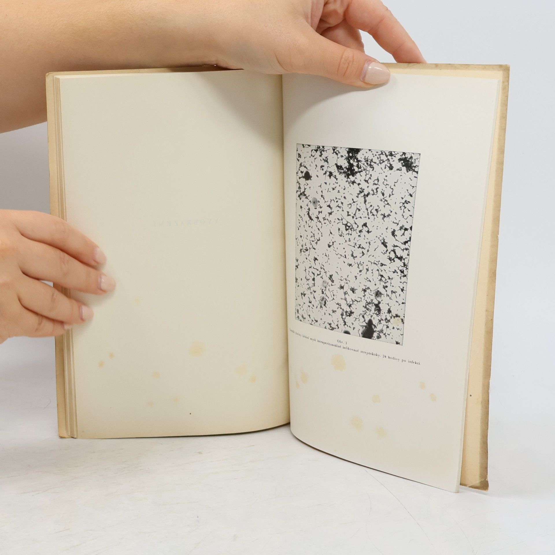 Various authors Prontosil