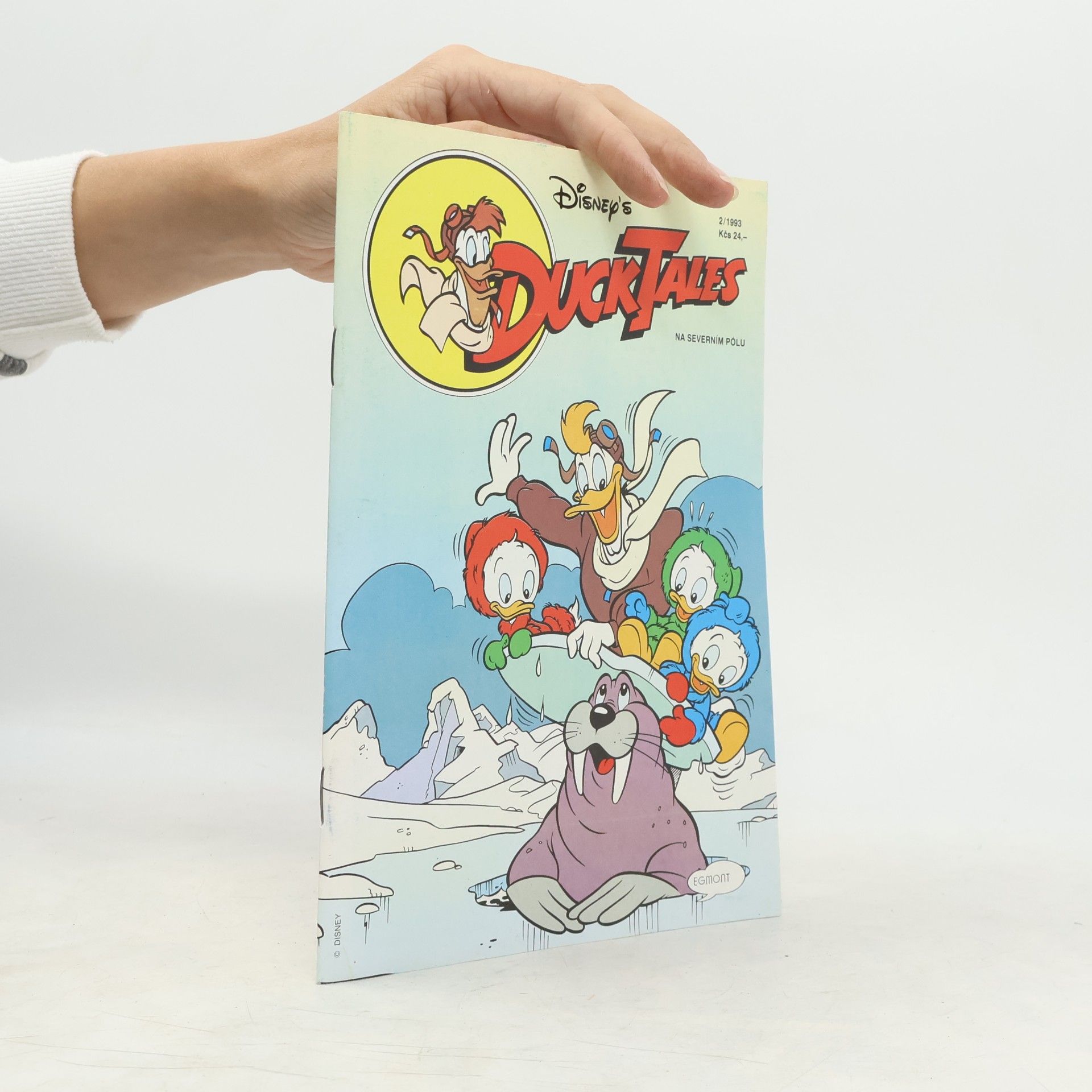 Collectif d'auteurs Ducktales 2/1993