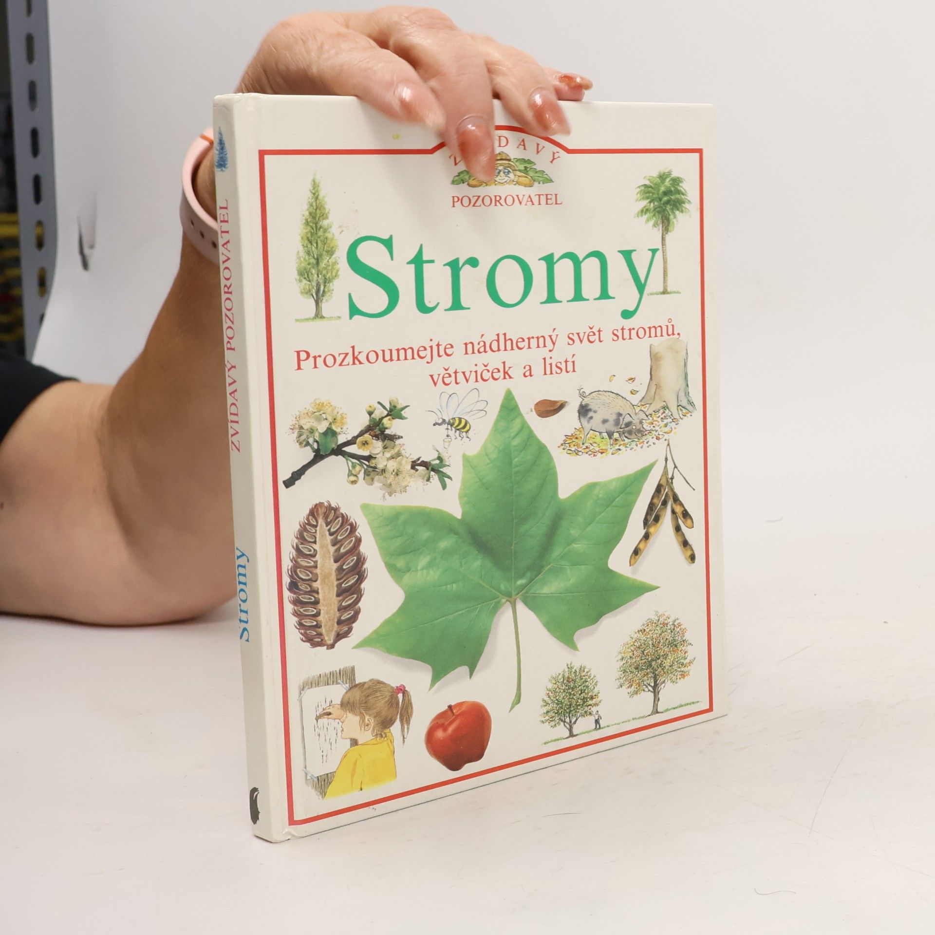 Linda Gamlin Stromy