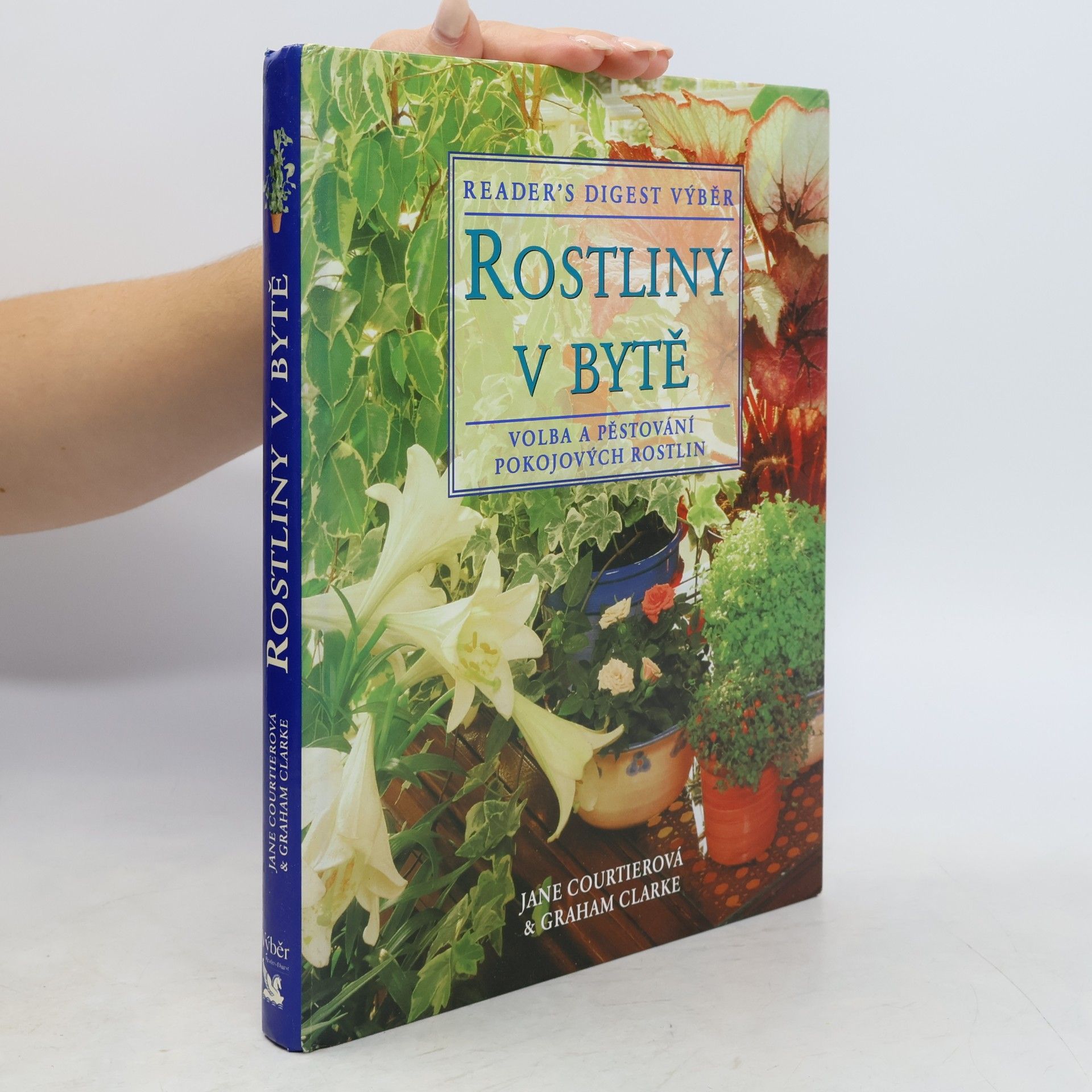 Rostliny v bytě
