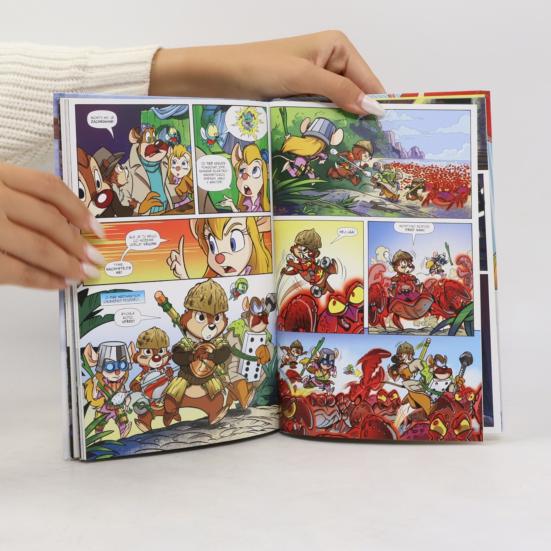 Lubomír Šebesta Chip a Dale : Rychlá rota. Rychlá rota opět zasahuje