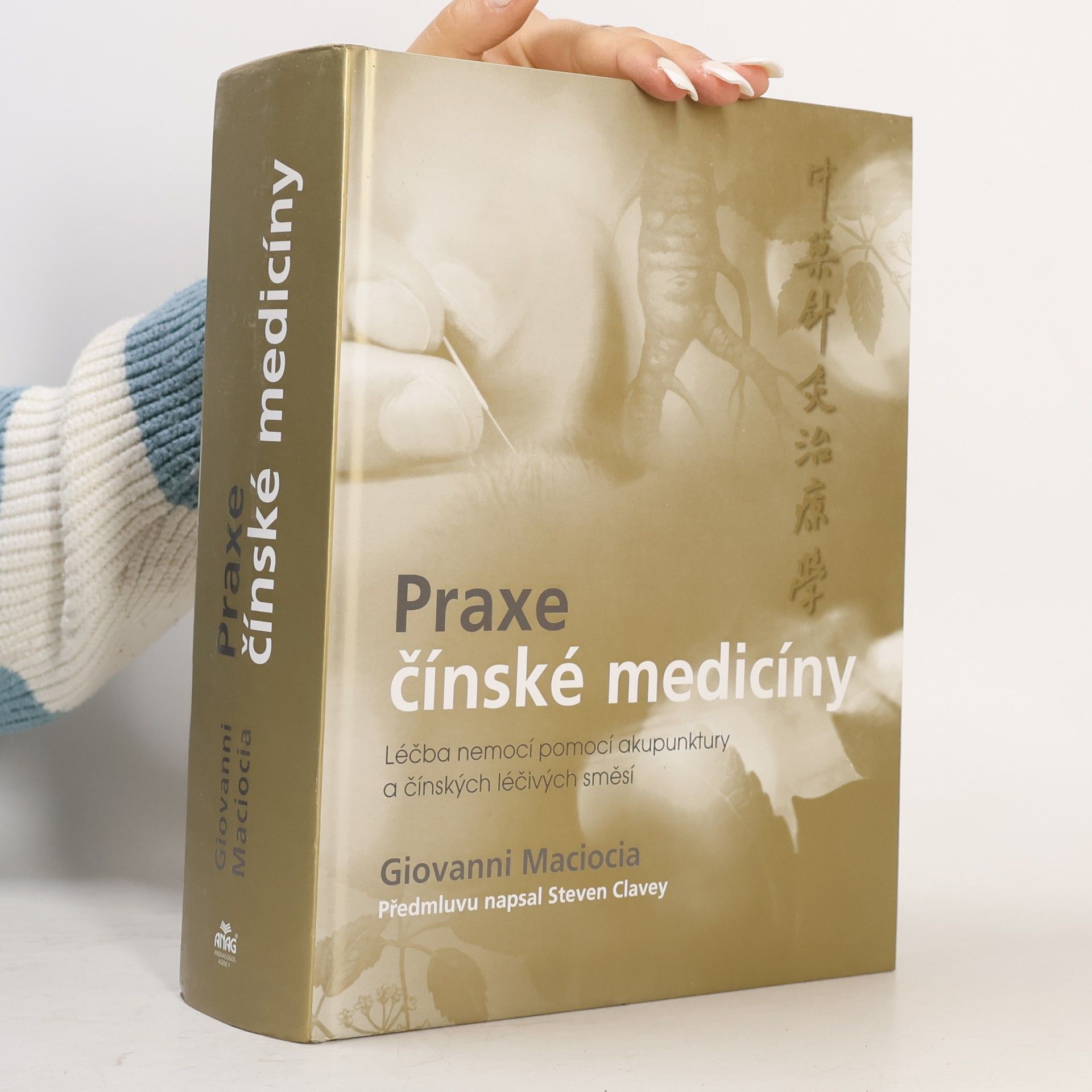 Giovanni Maciocia Praxe čínské medicíny