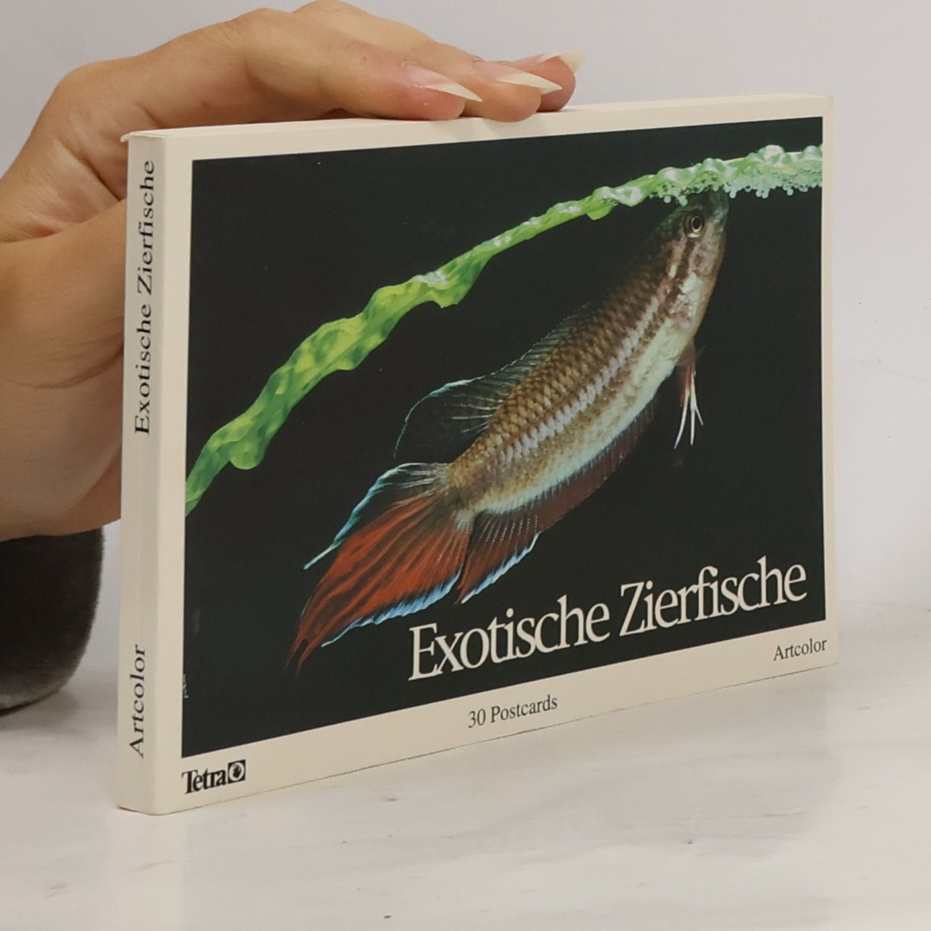 Autorenkollektiv Exotische Zierfische