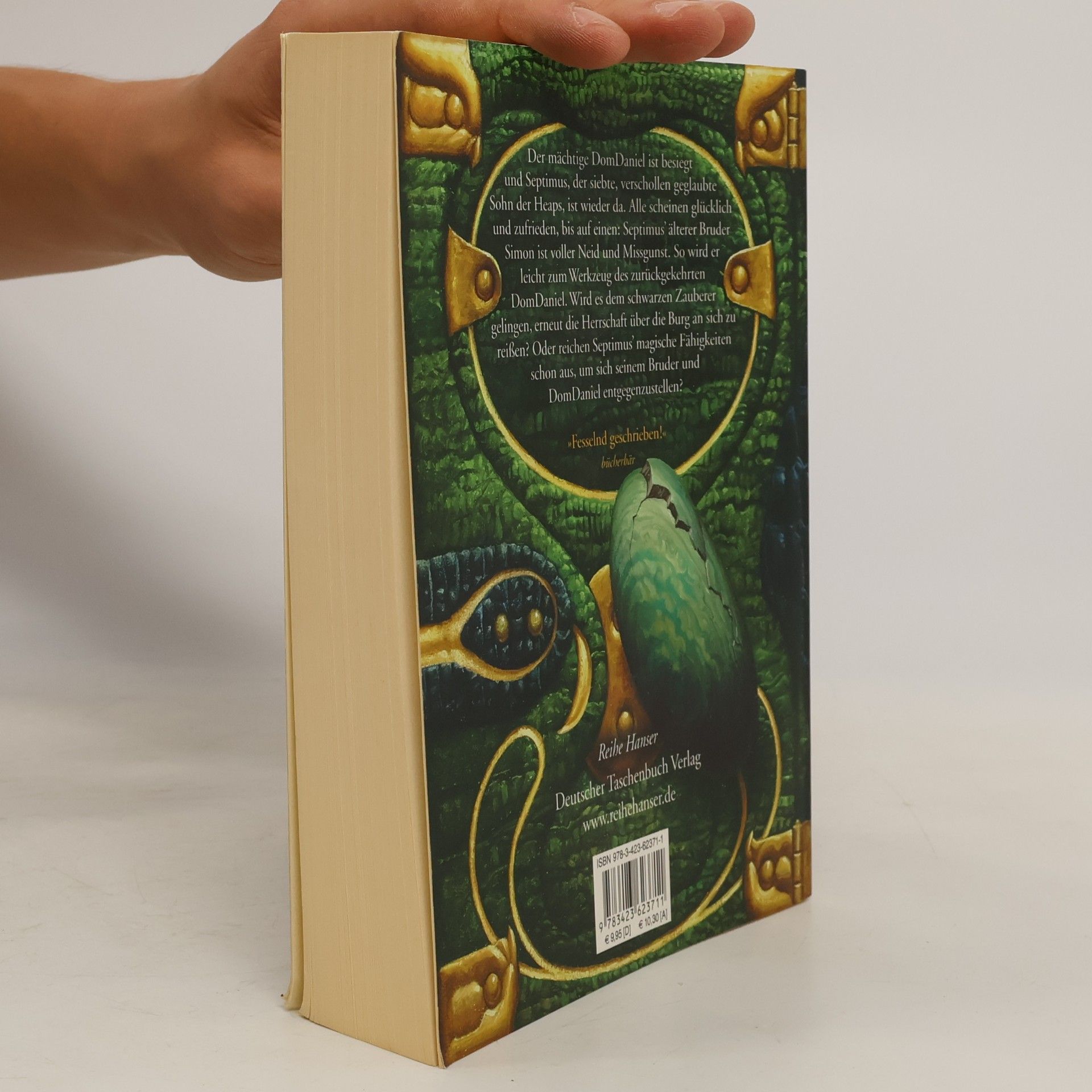 Angie Sage Septimus Heap: Flyte