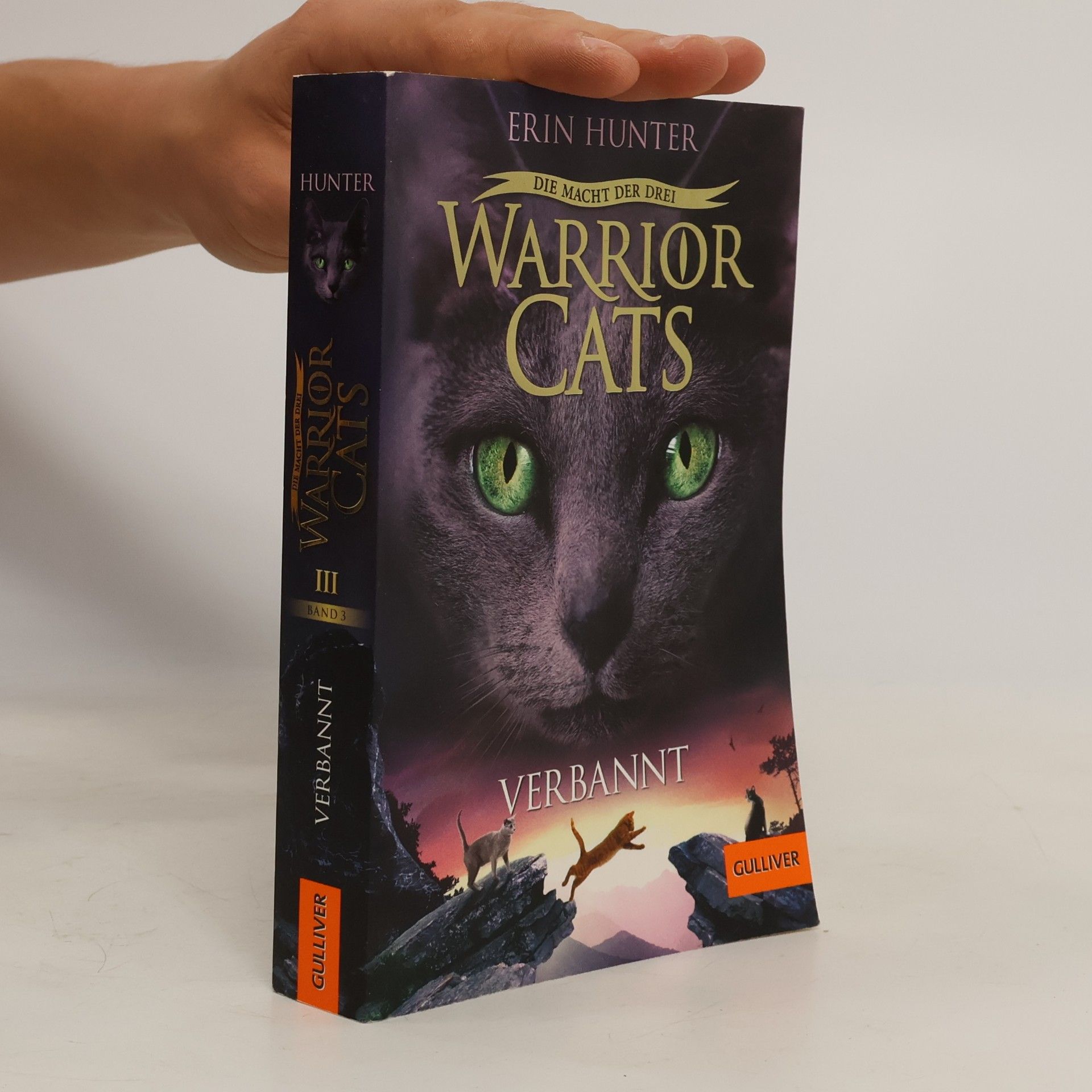Erin Hunter Verbannt
