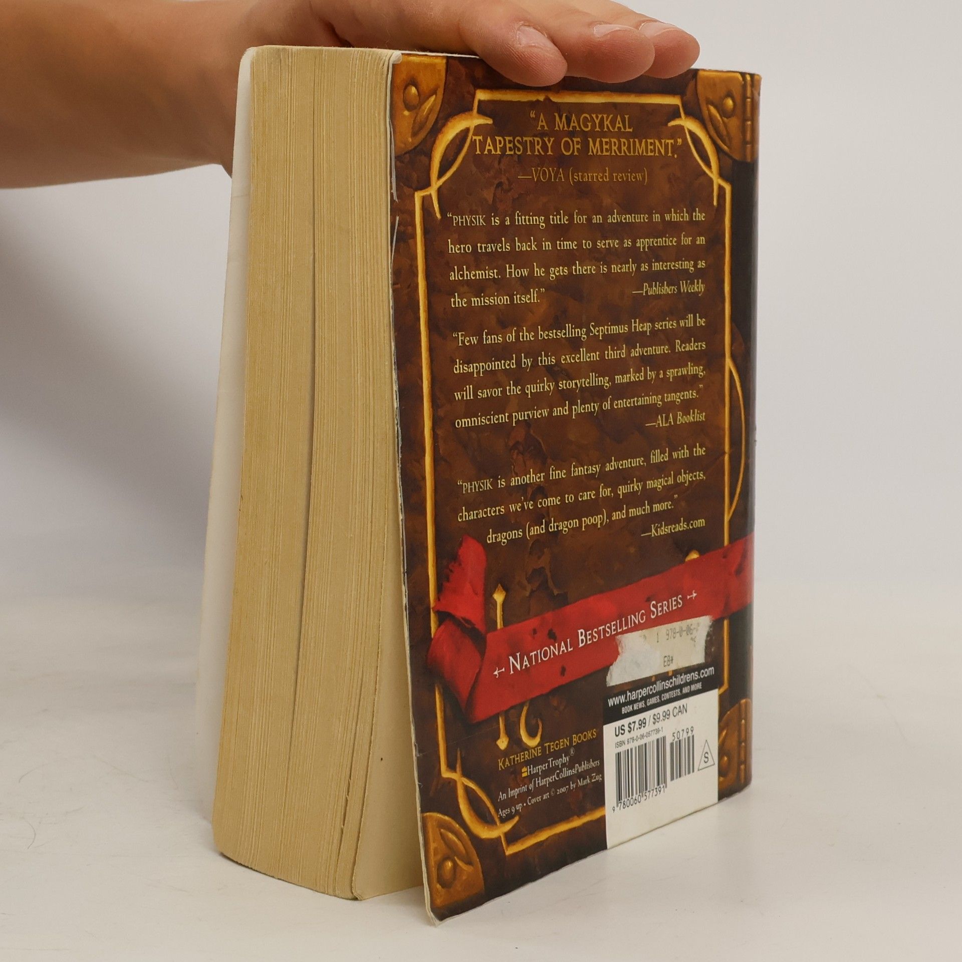 Angie Sage Physik (Septimus Heap, Book Three)