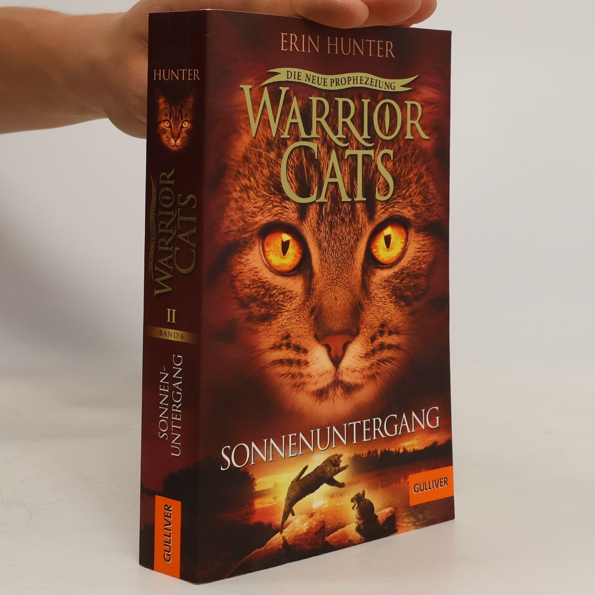 Erin Hunter Sonnenuntergang