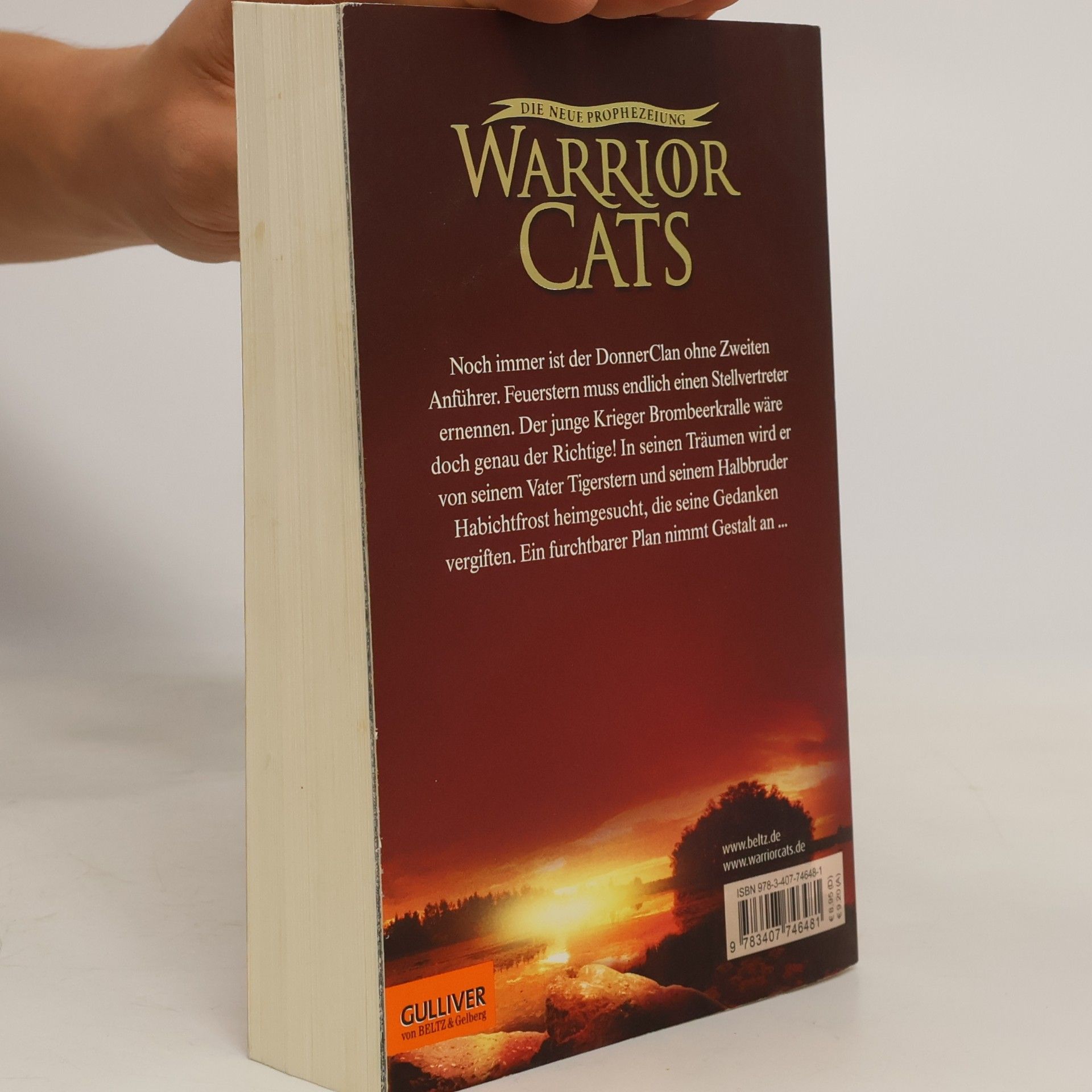 Erin Hunter Sonnenuntergang